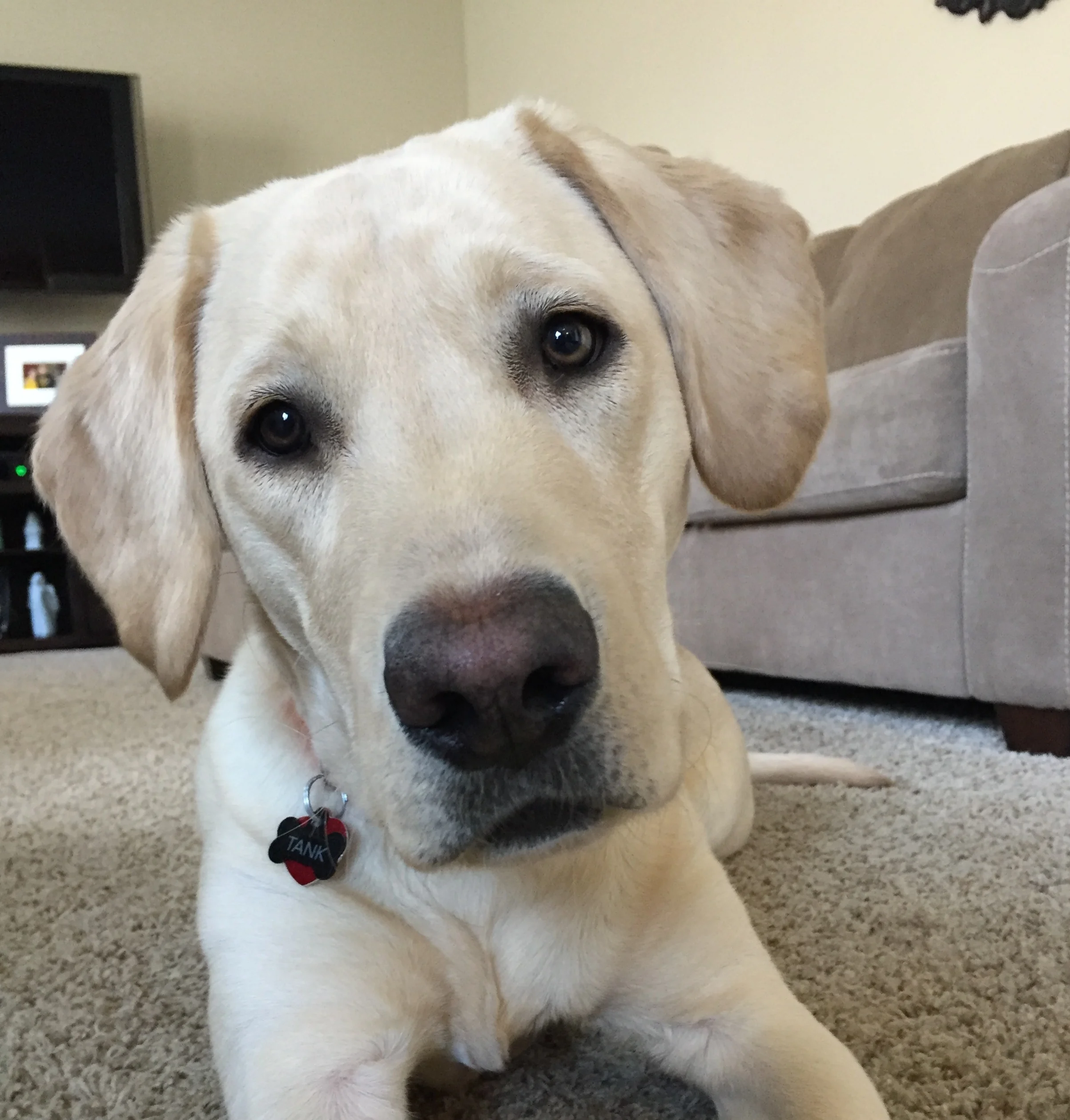 The Magazine In The Waiting Room