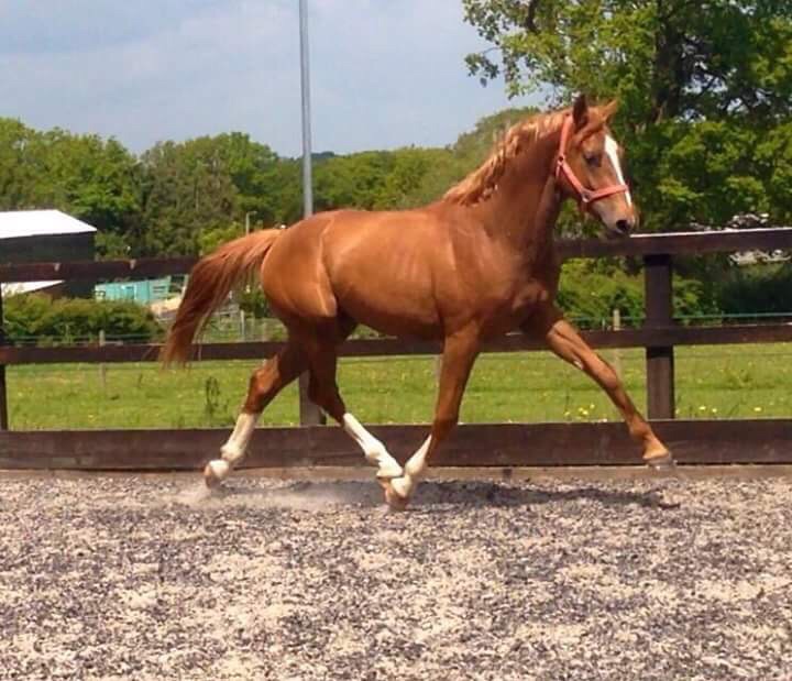 File 13-07-2015 15 27 34.jpeg