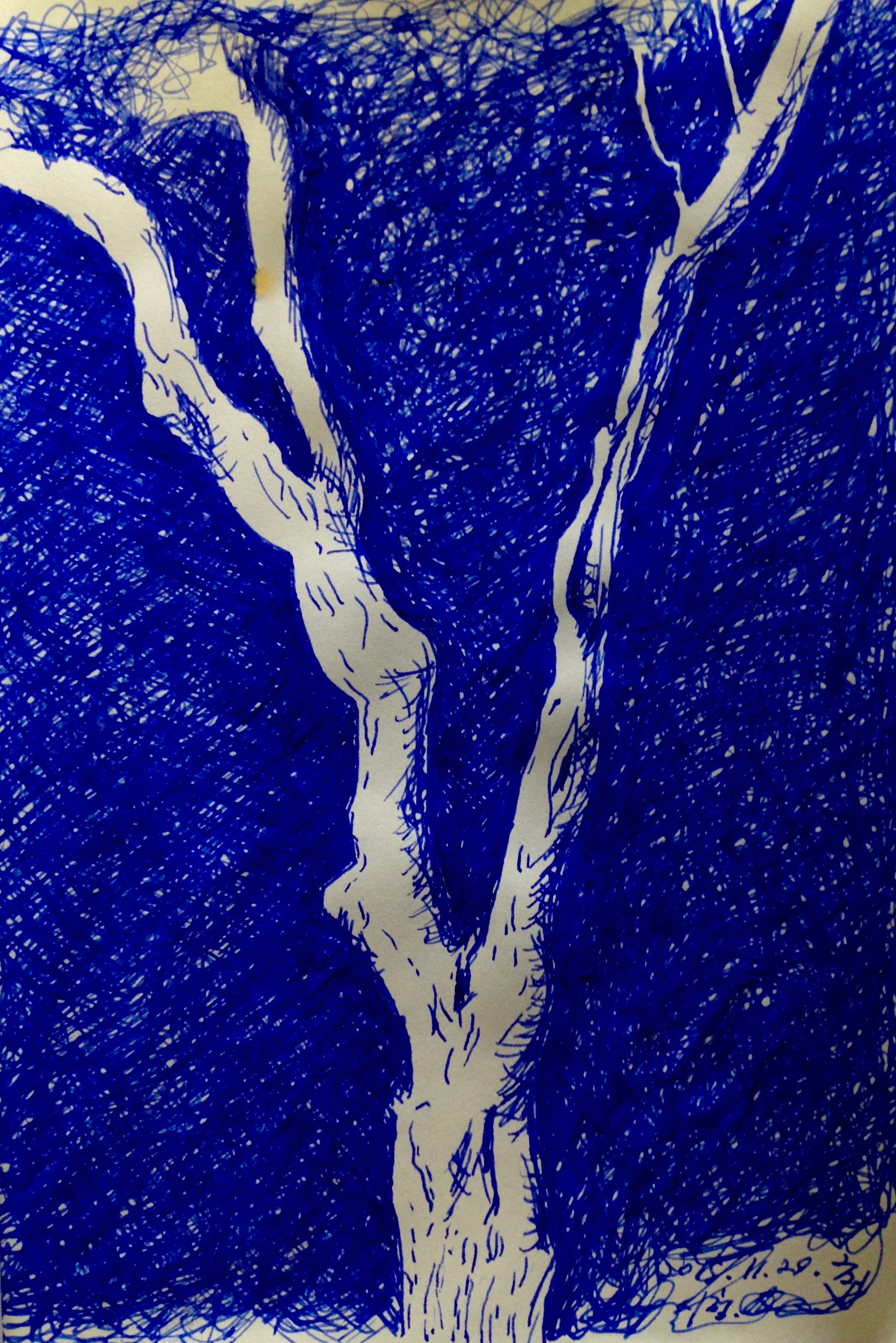 시청 근처 가로수