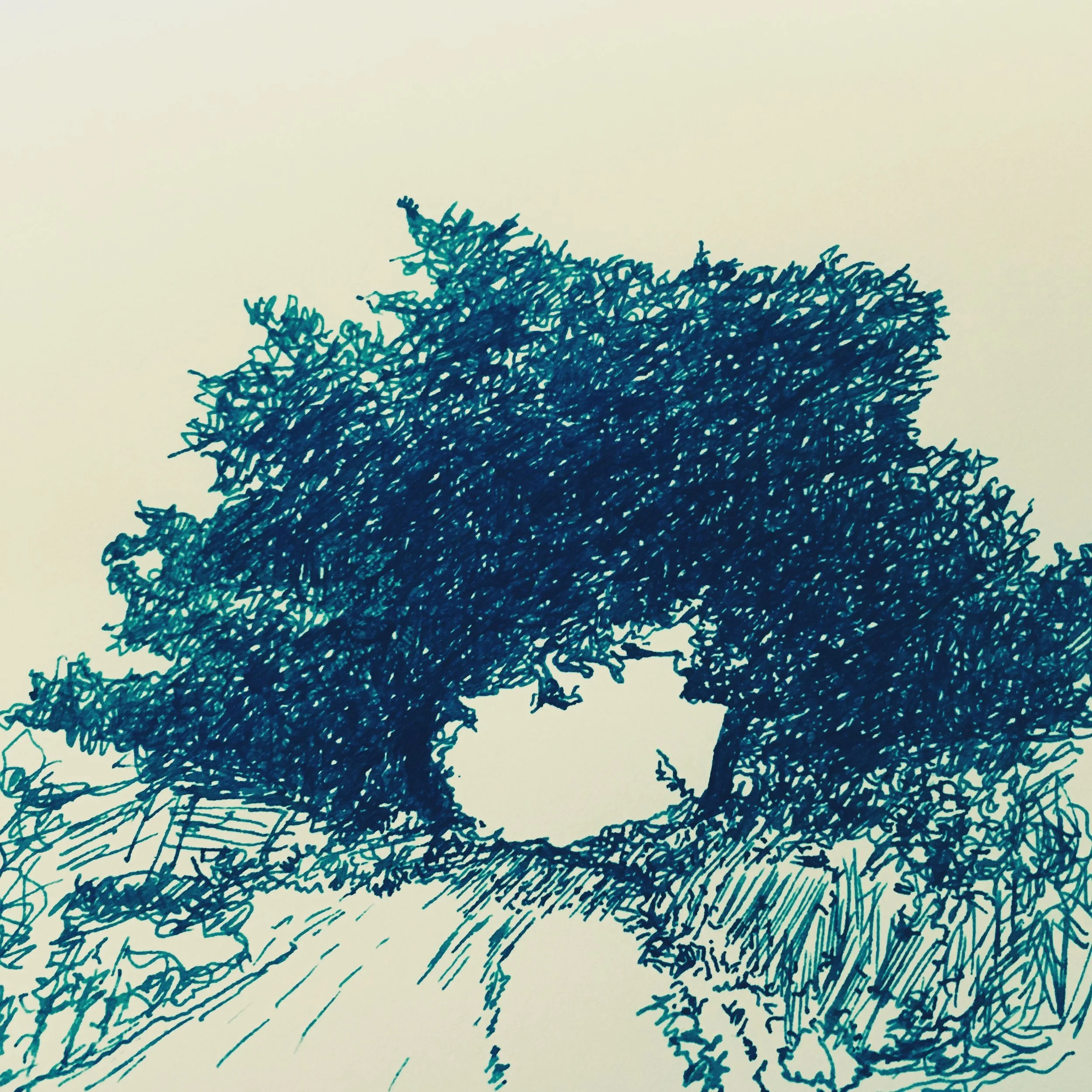 [정신승리] 일상에 의미두기