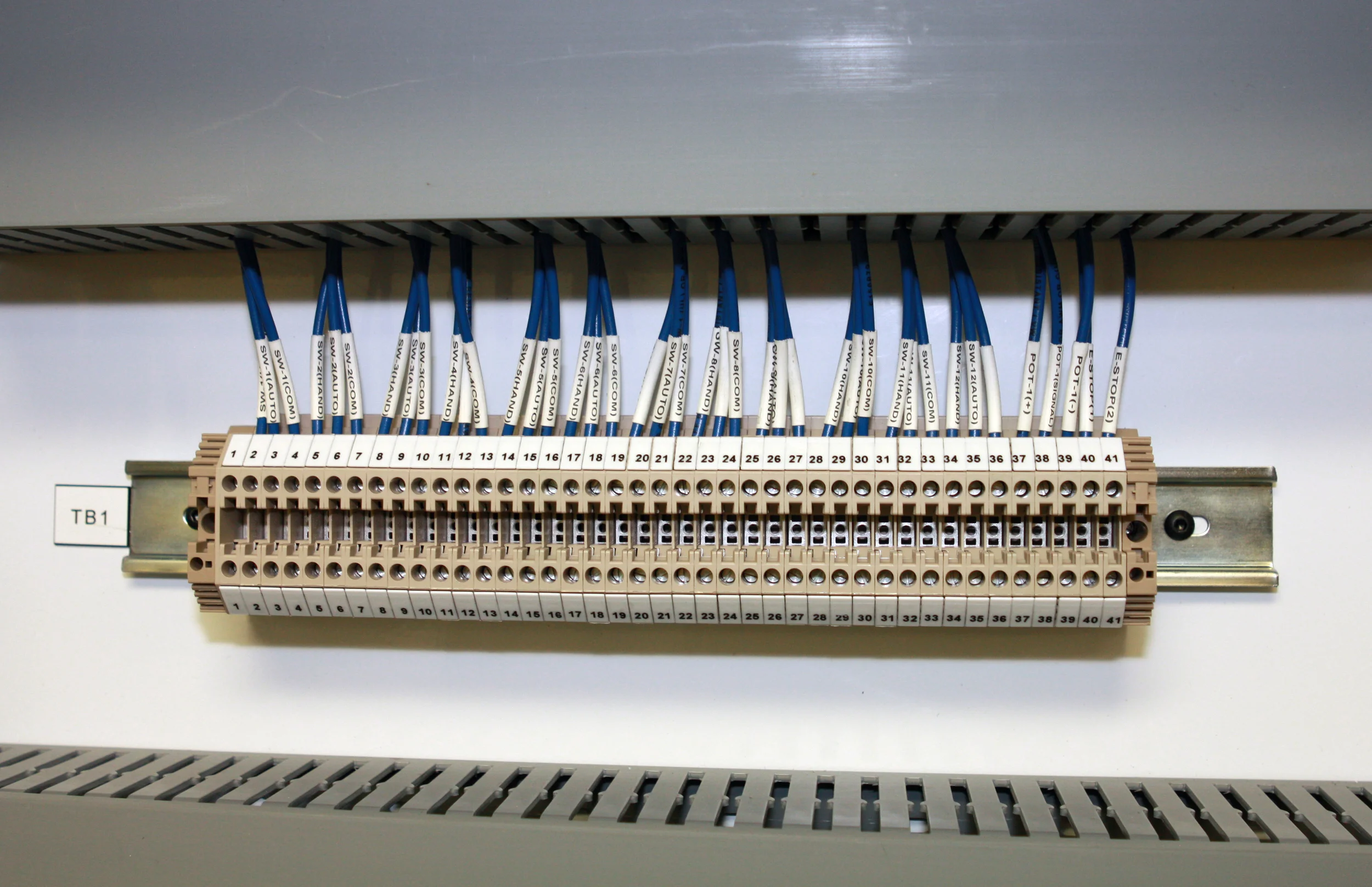 2011-08 LIEB Foods (16).JPG