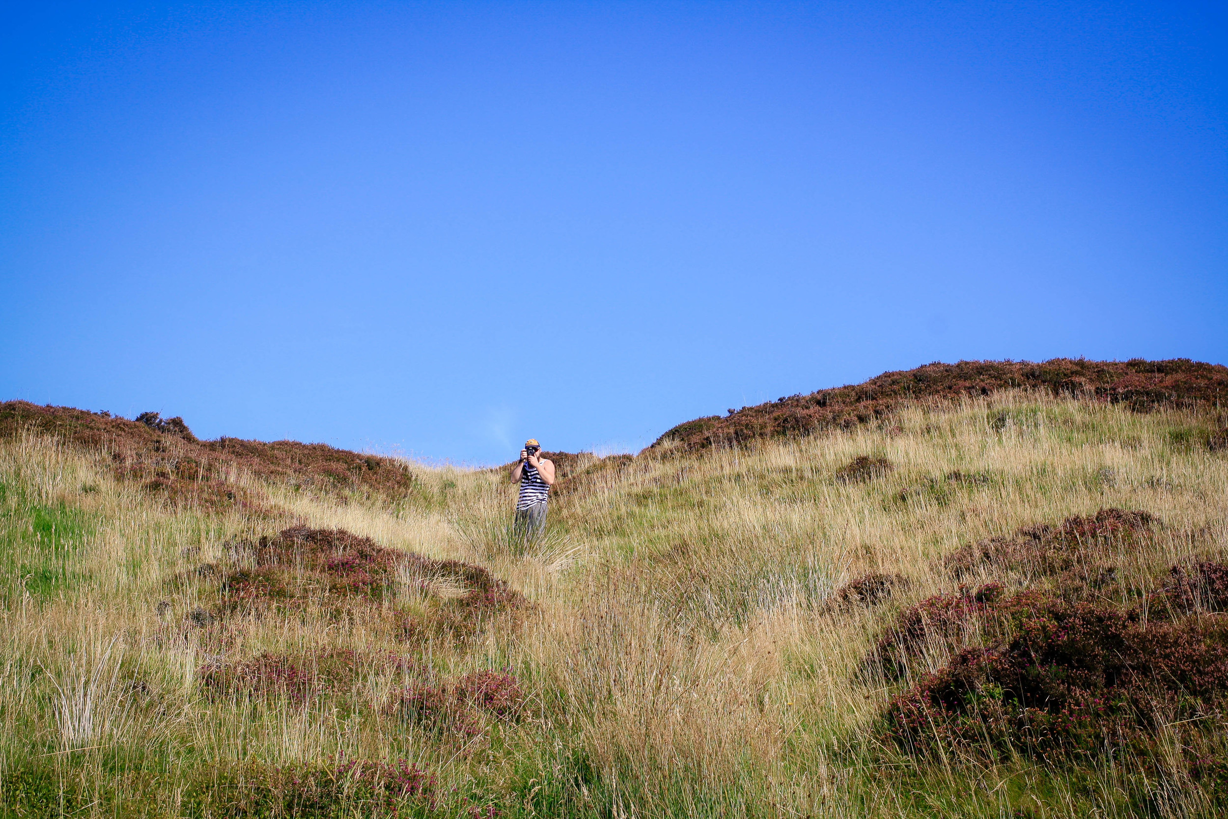 Aaron amid the heather. 