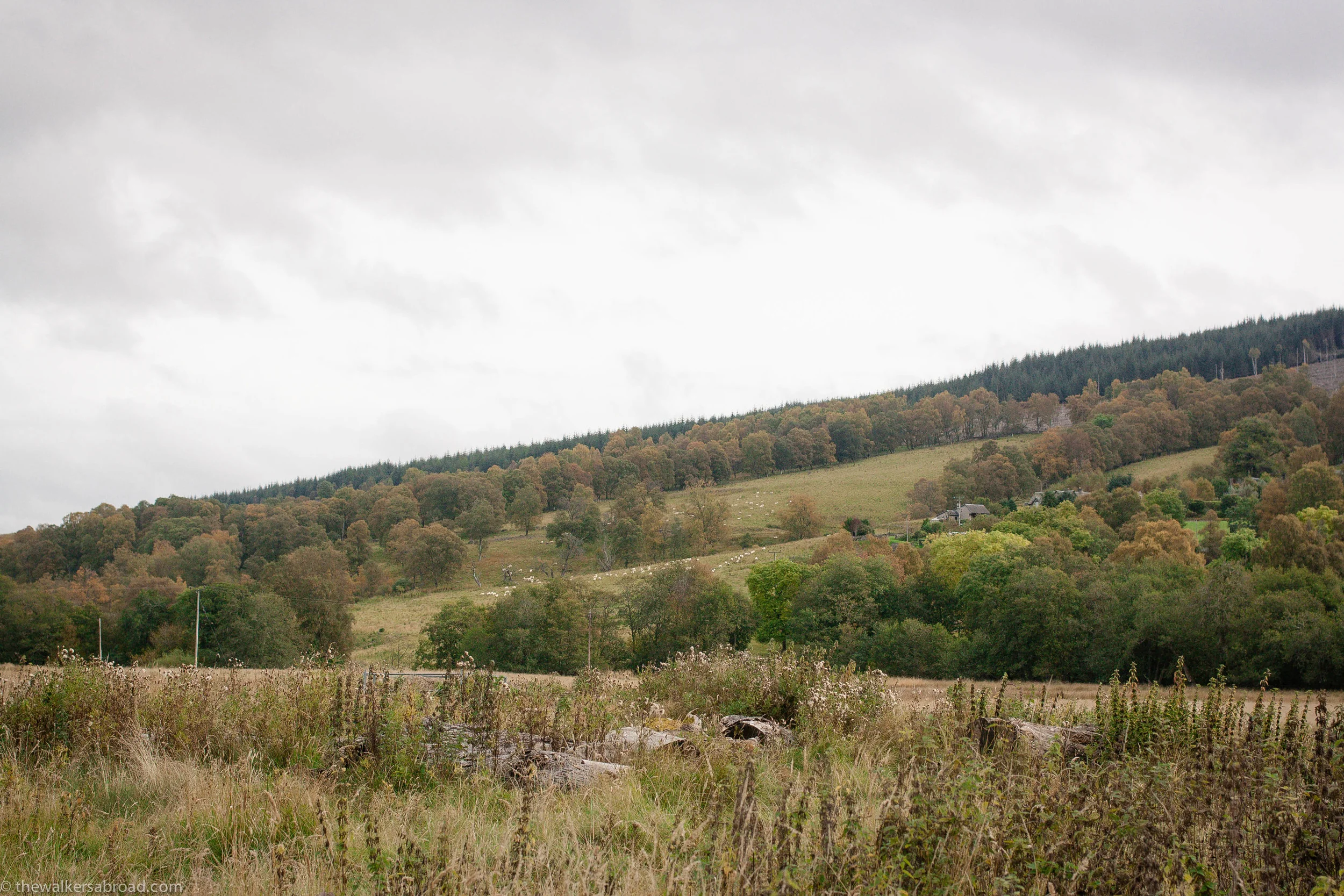 Scottish countryside. 