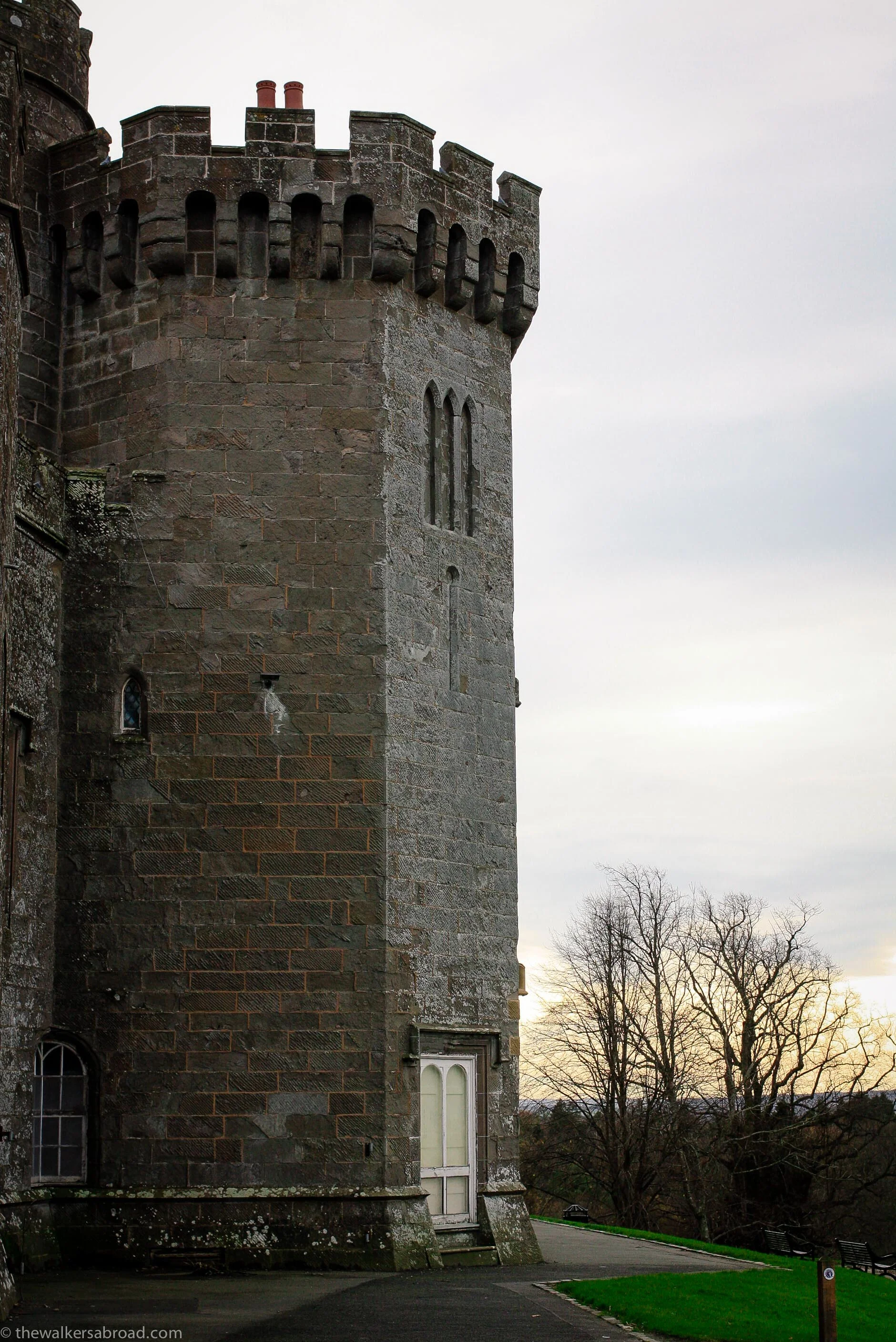 The late afternoon light. 