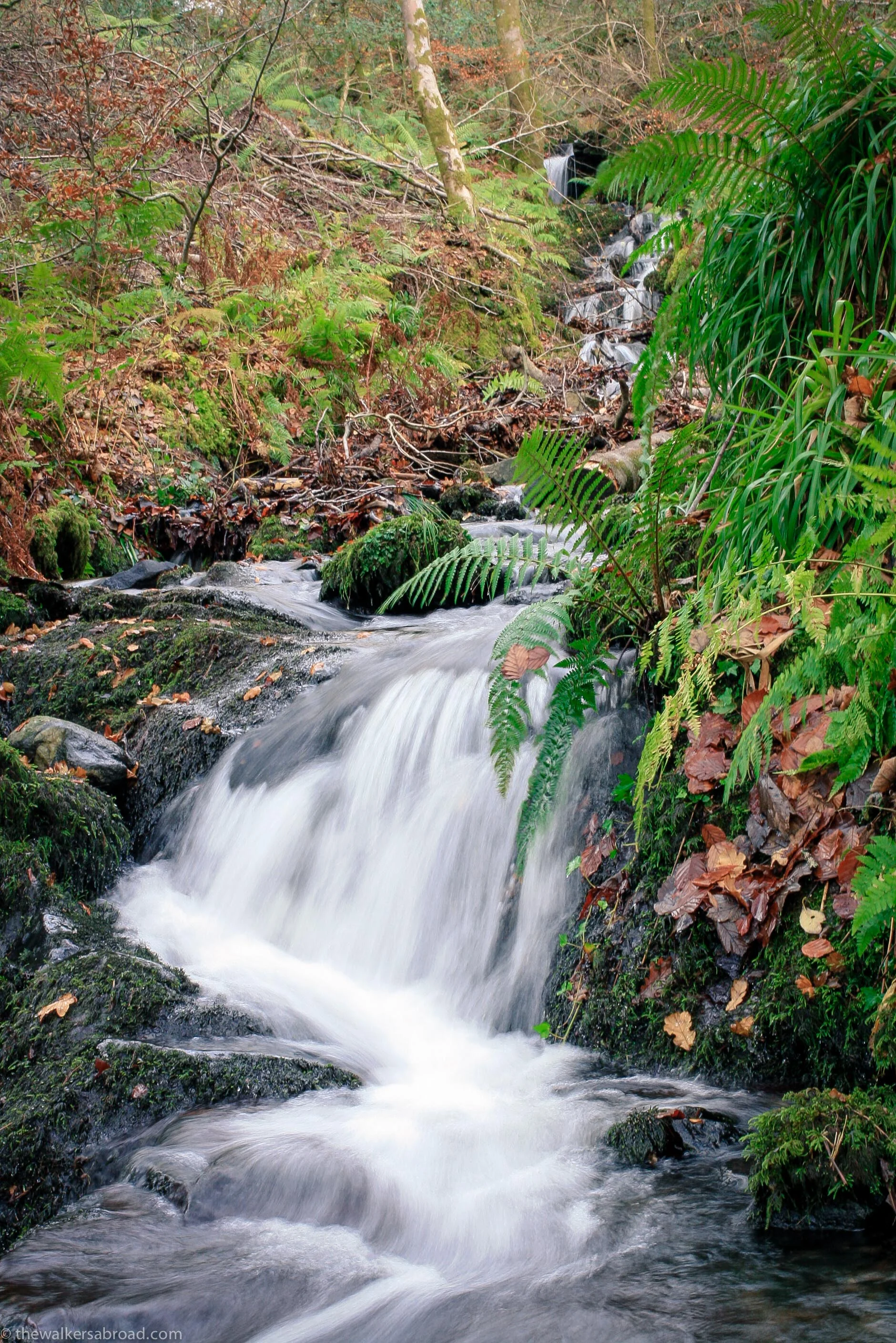 A rather picturesque waterfall. 