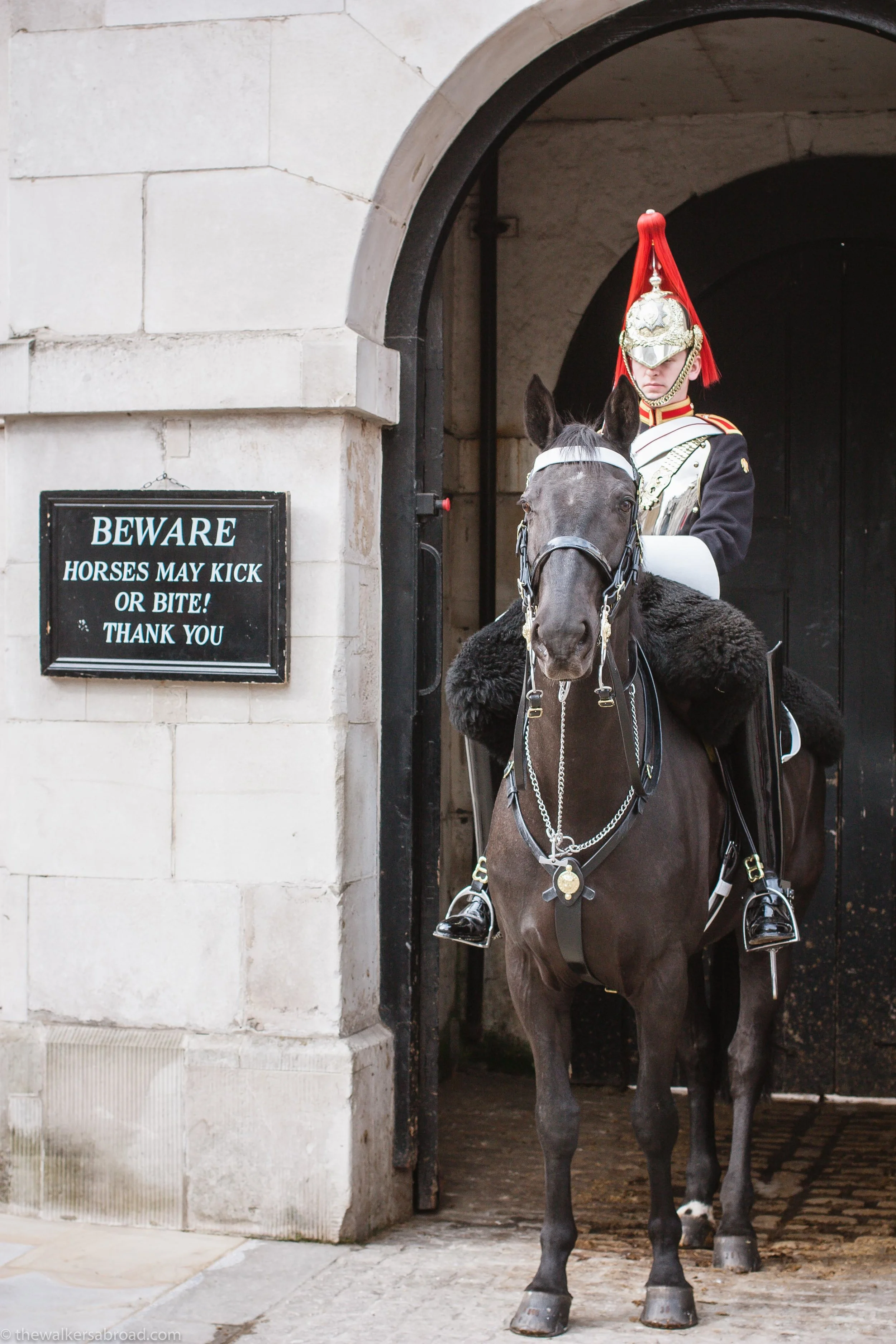 With that warning, there was no way I was getting close to the horse. Although, there were others who definitely did not feel the same trepidation. I saw a four year old nearly get chewed up. :O 