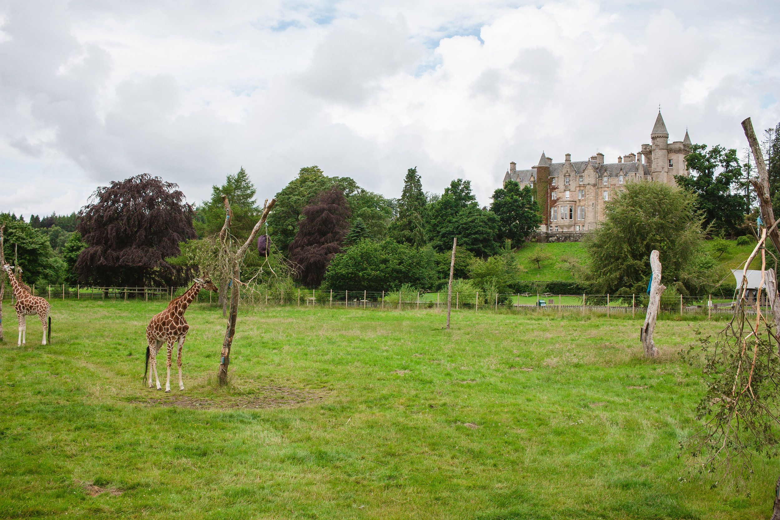 blair drummond safari park contact number