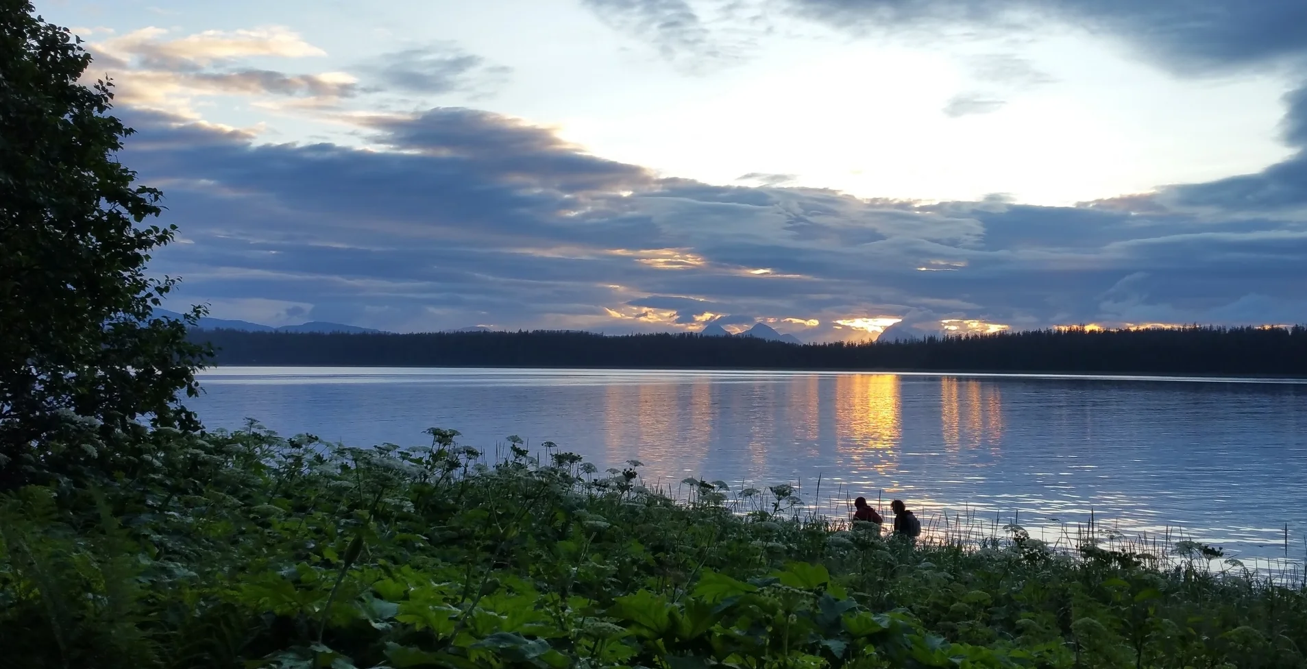 Day 2 (June 26, 2015) - MOSS Sea Kayak Trip - Glacier Bay, Alaska