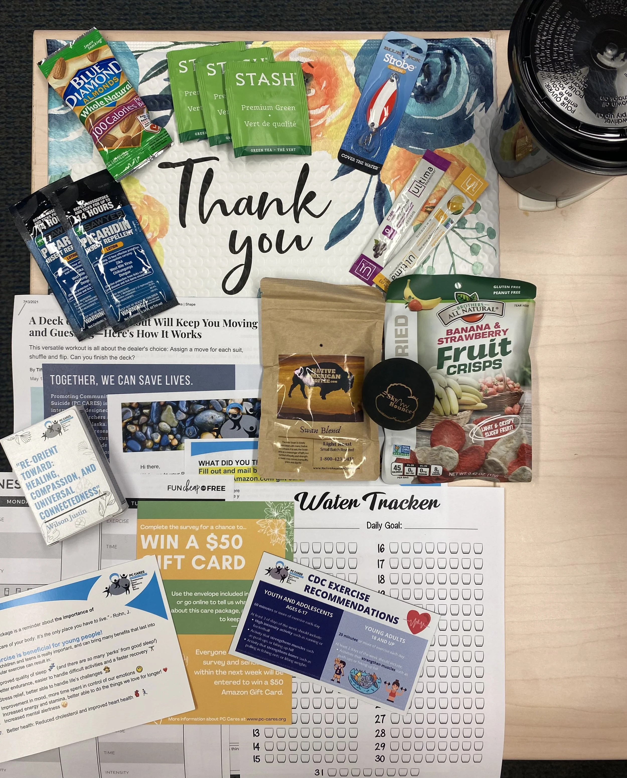 Care packages to promote universal suicide prevention for remote Alaska Native communities: What worked?