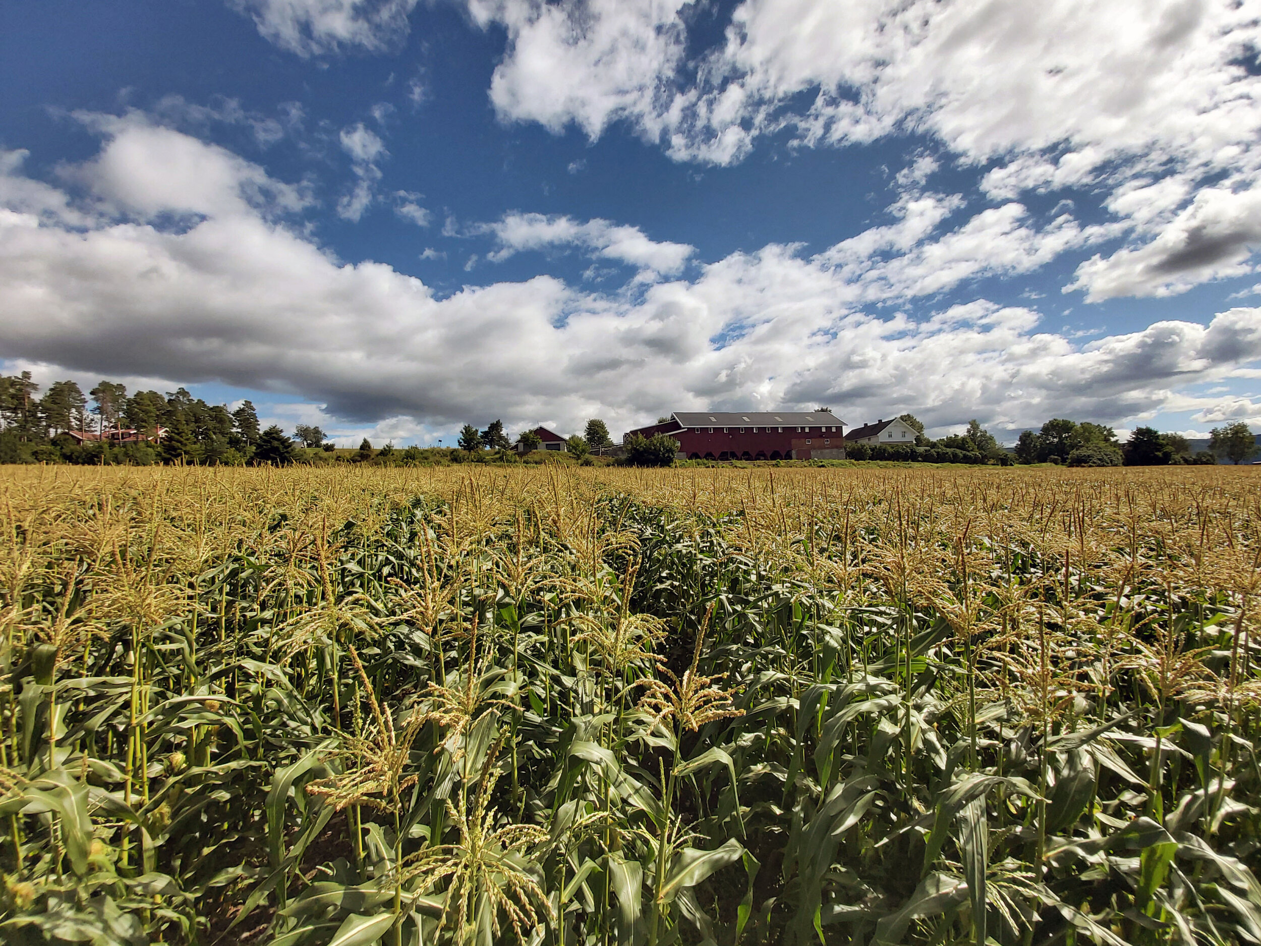 SESONGEN 2020 ER NÅ AVSLUTTET