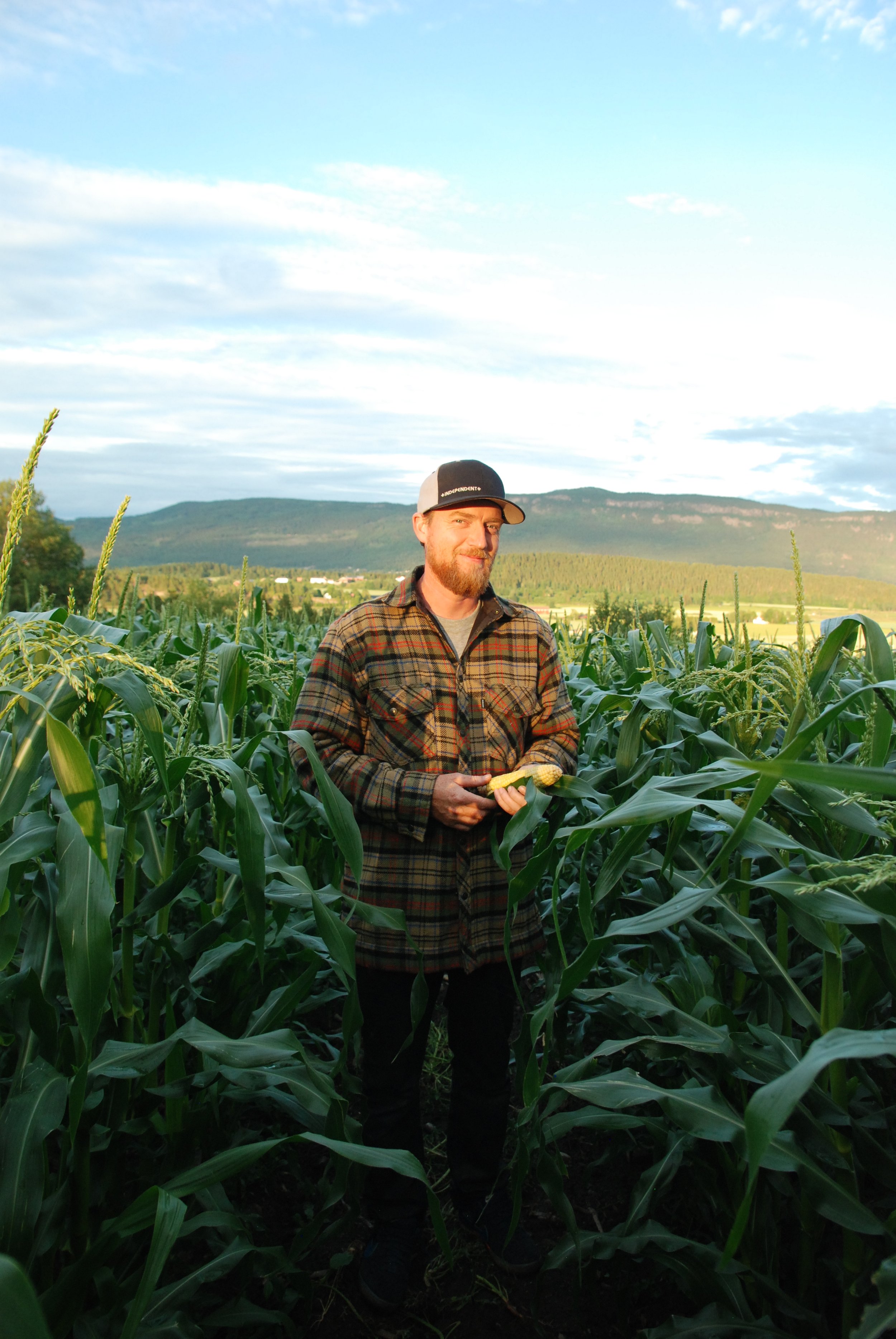 Sesongavslutning - siste helg med selvplukk og gårdsbutikk