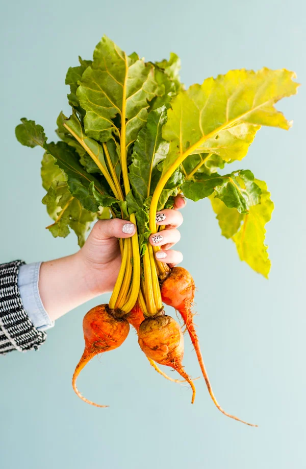 bunch-of-golden-beets-being-held-in-one-hand-1.jpg