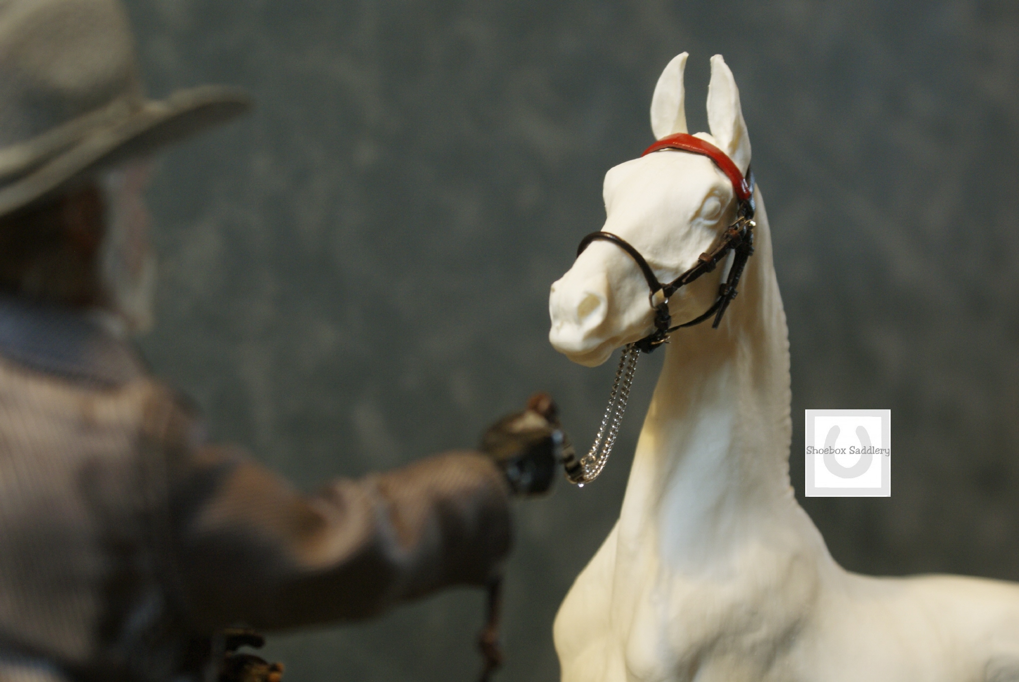 Traditional Saddlebred Weanling show halter