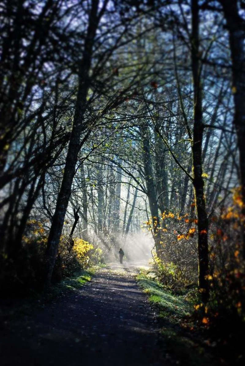 Catch the beautiful Interurban Trail in front of the Inn.