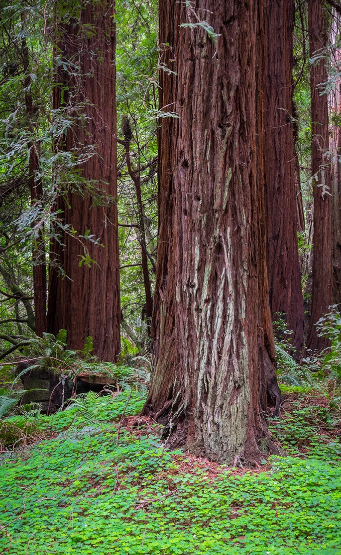 As someone who does not shoot a lot of verticals, this location was the exception. Fujifilm XT1,1/2.3 @ f18, ISO 200.