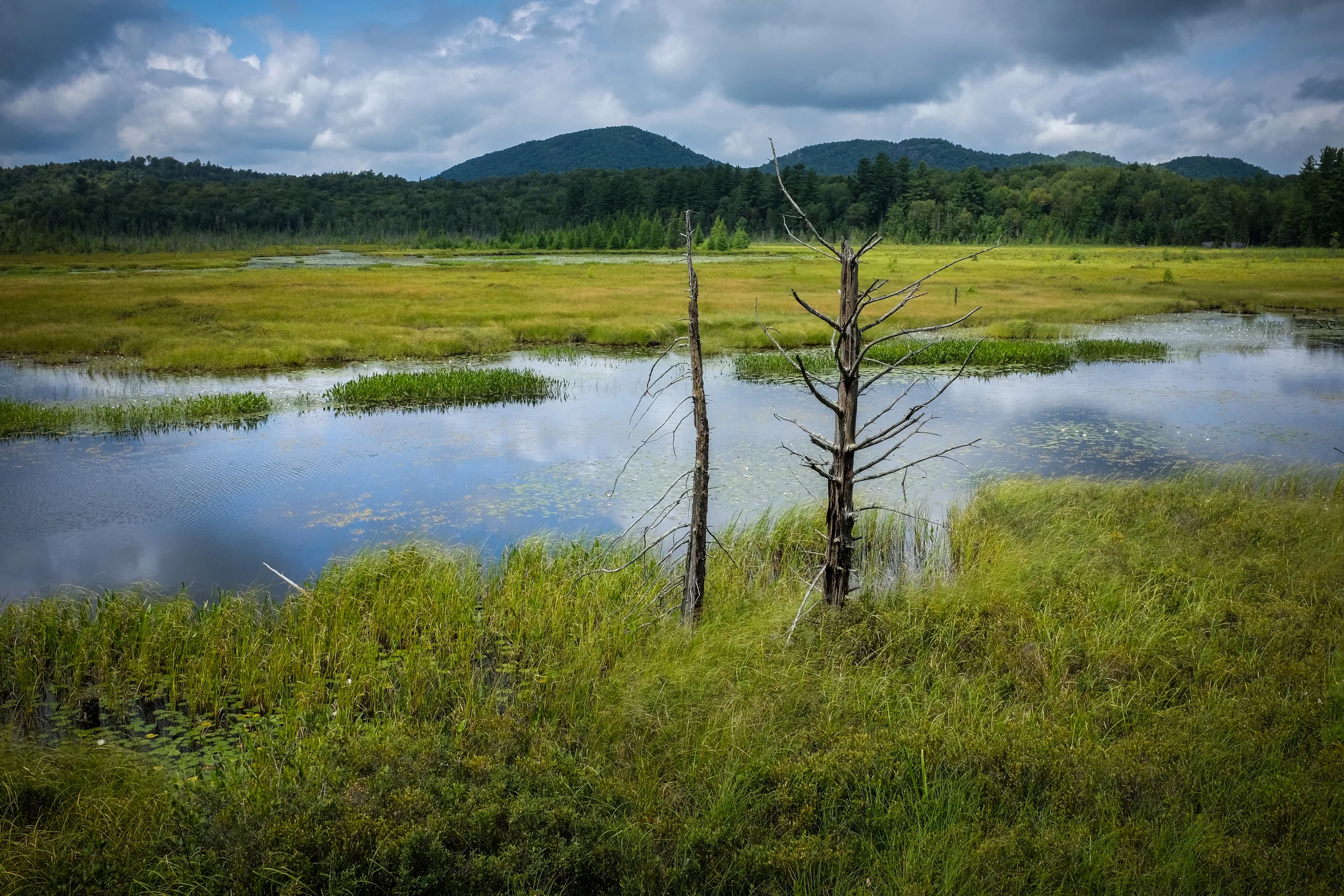 Heron Marsh Trail in the Adirondacks, New York.