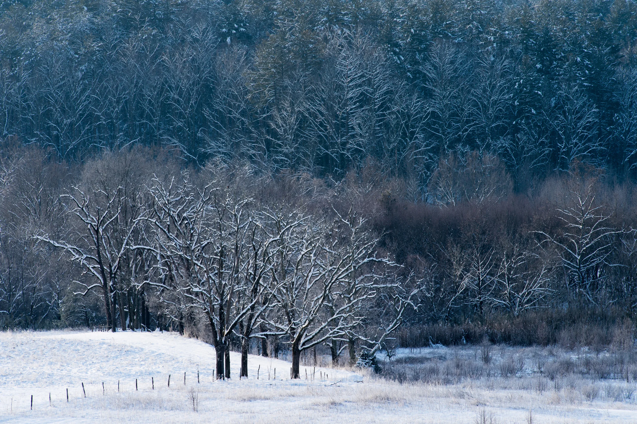 CadesCove-2.jpg