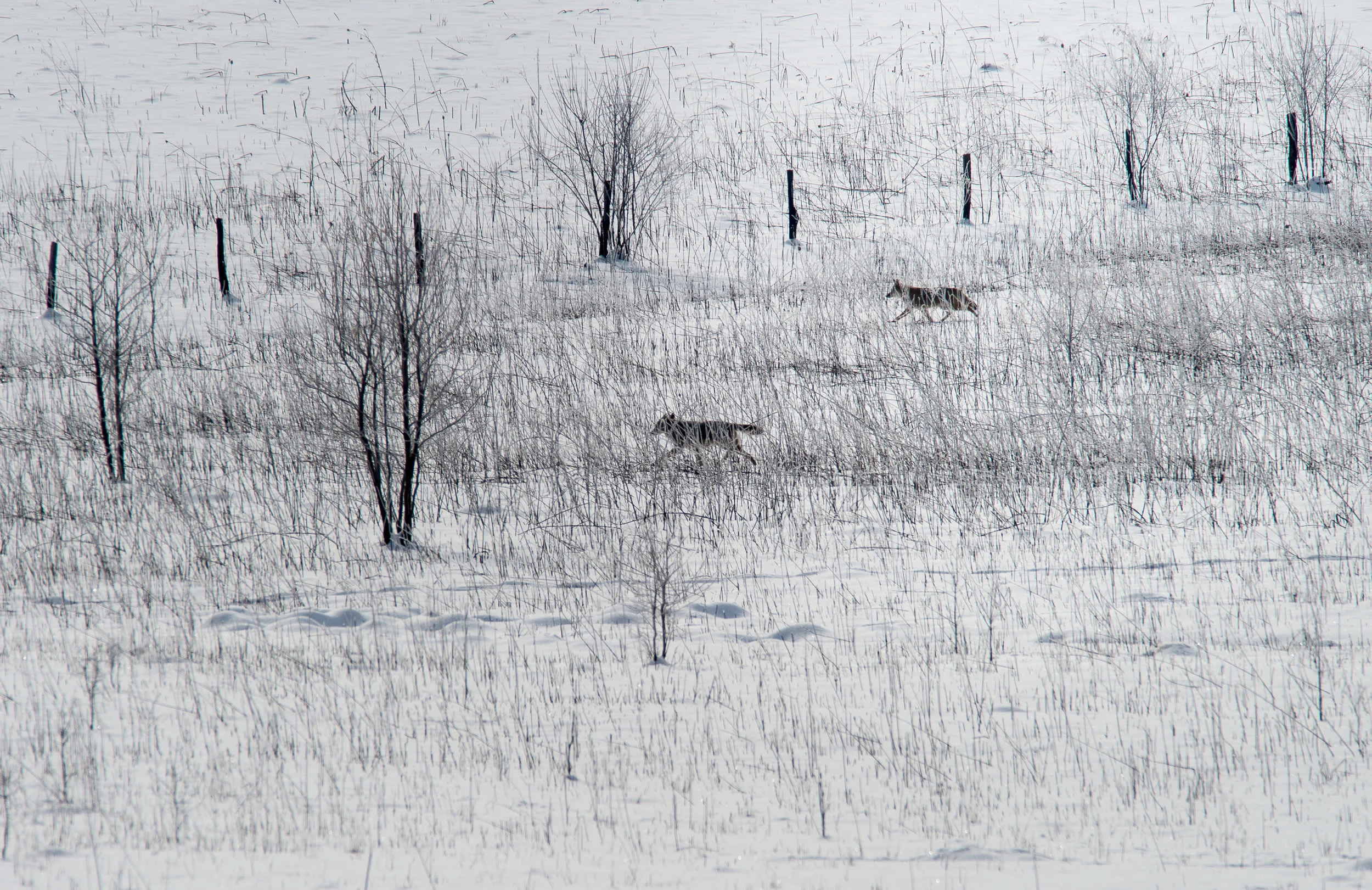 CadesCove-10.jpg