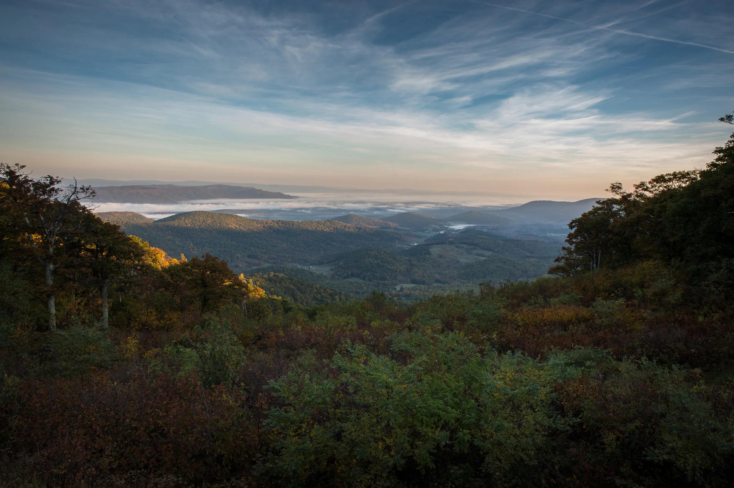 Shenandoah-2.jpg