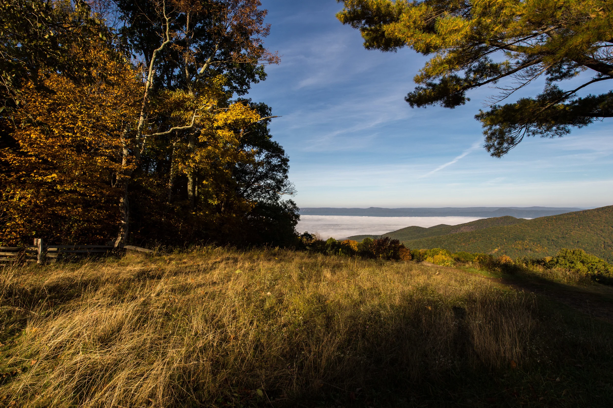 Shenandoah-5.jpg