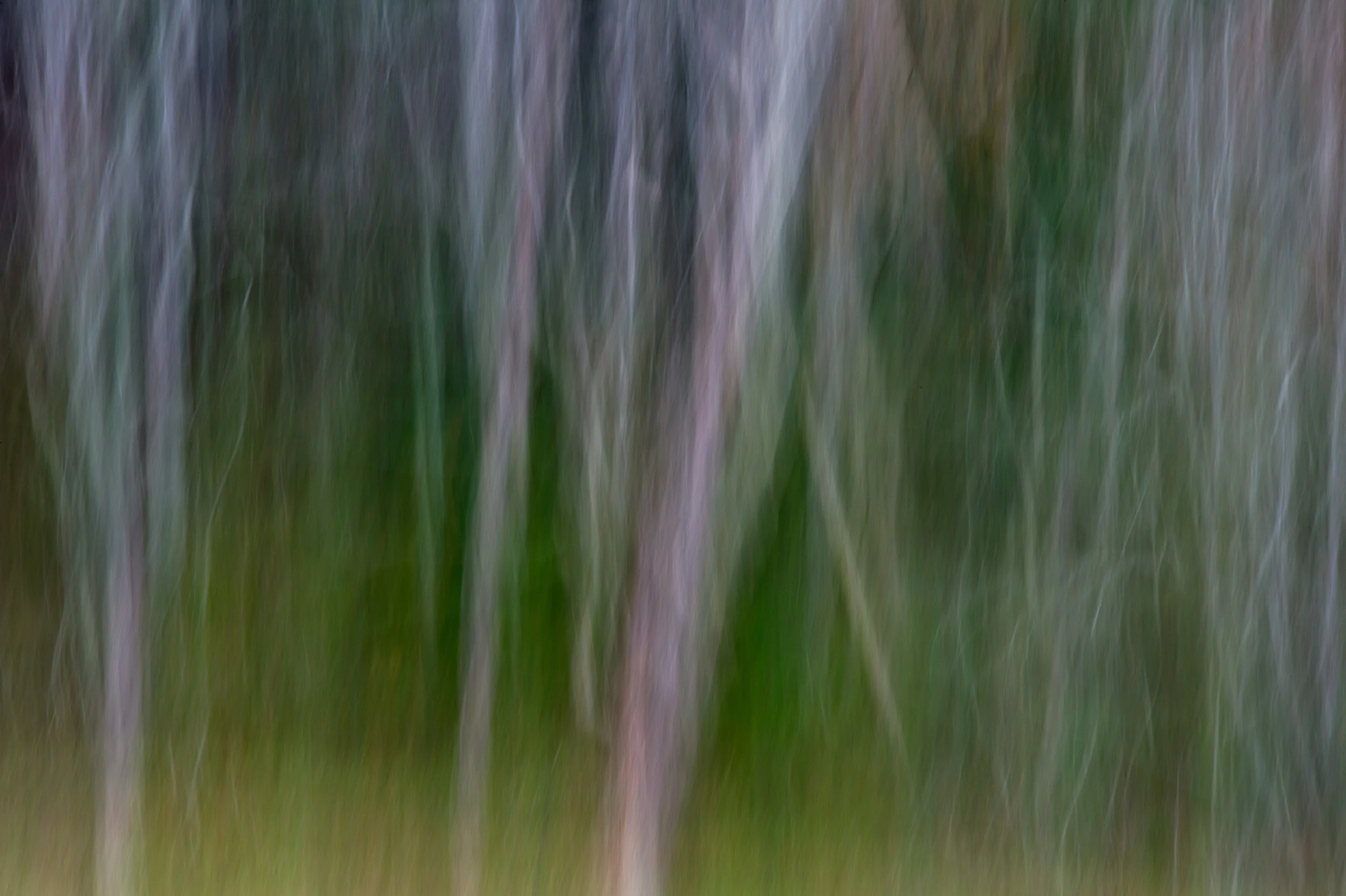 Vertical camera swipe using a Nikon D4S with a 80-400 at 195. 1/1.7 @ f36, ISO 100.