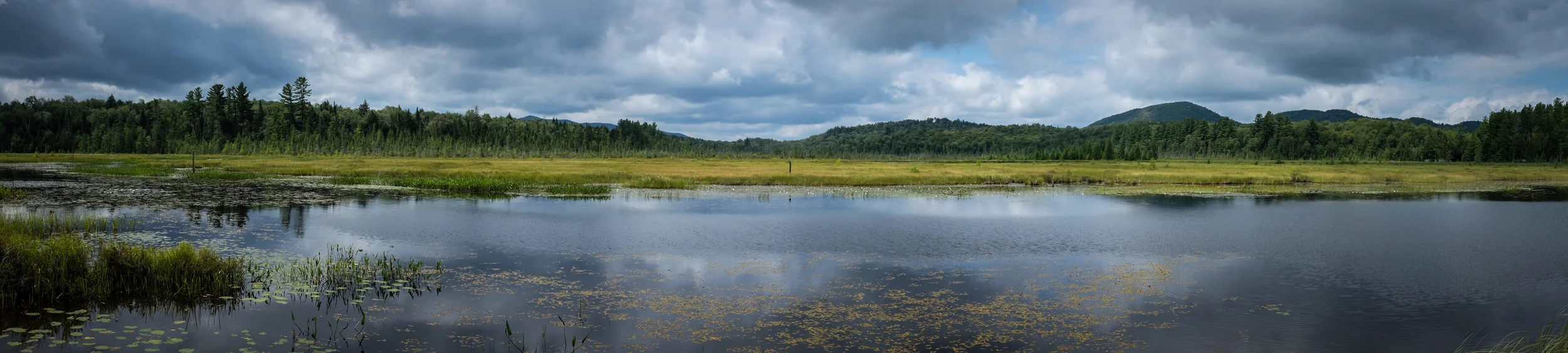 Panoramic view of Heron Marsh located at the Paul Smith's College Visitor Interpretive Center. I'm sure this would be spectacular with early morning or late afternoon light, but the X100S did just fine at noon. 1/850 @ f8, ISO 400.