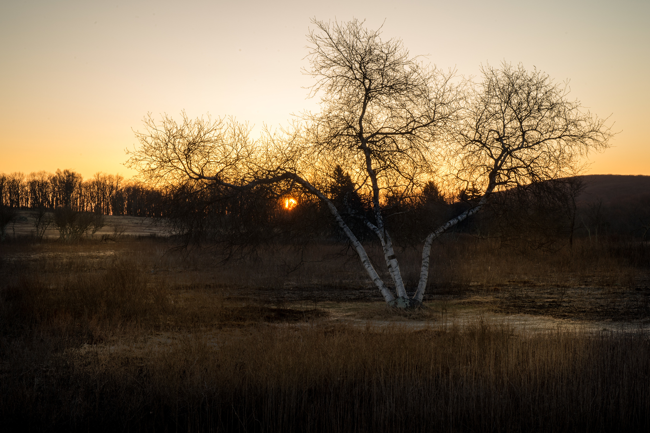 1/15 @ f18, ISO 200. Nikon D4S, 24-70mm at 70mm.
