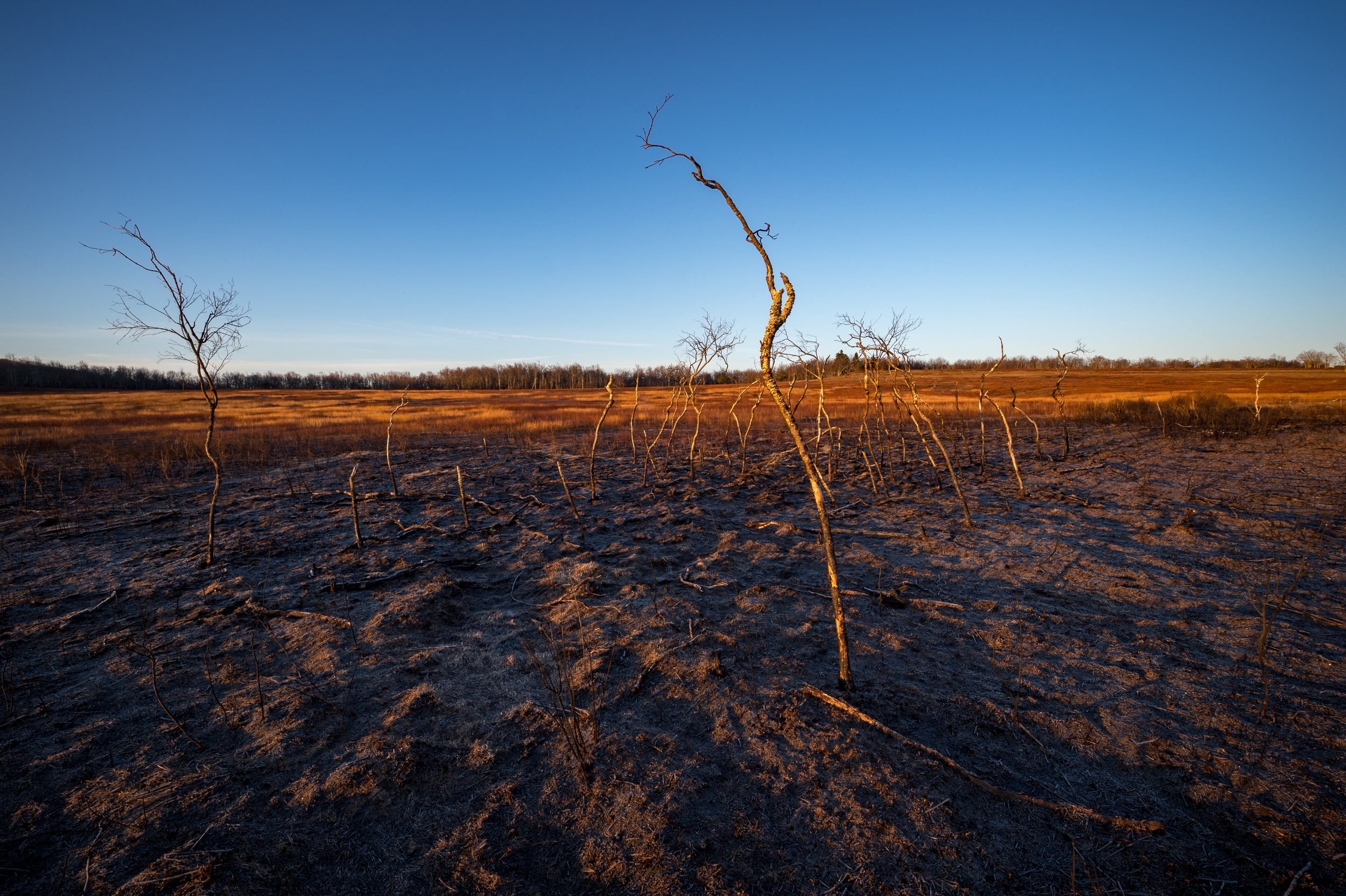 1/15 @ f18, ISO 200. Nikon D4S, 14-24mm at 16mm.