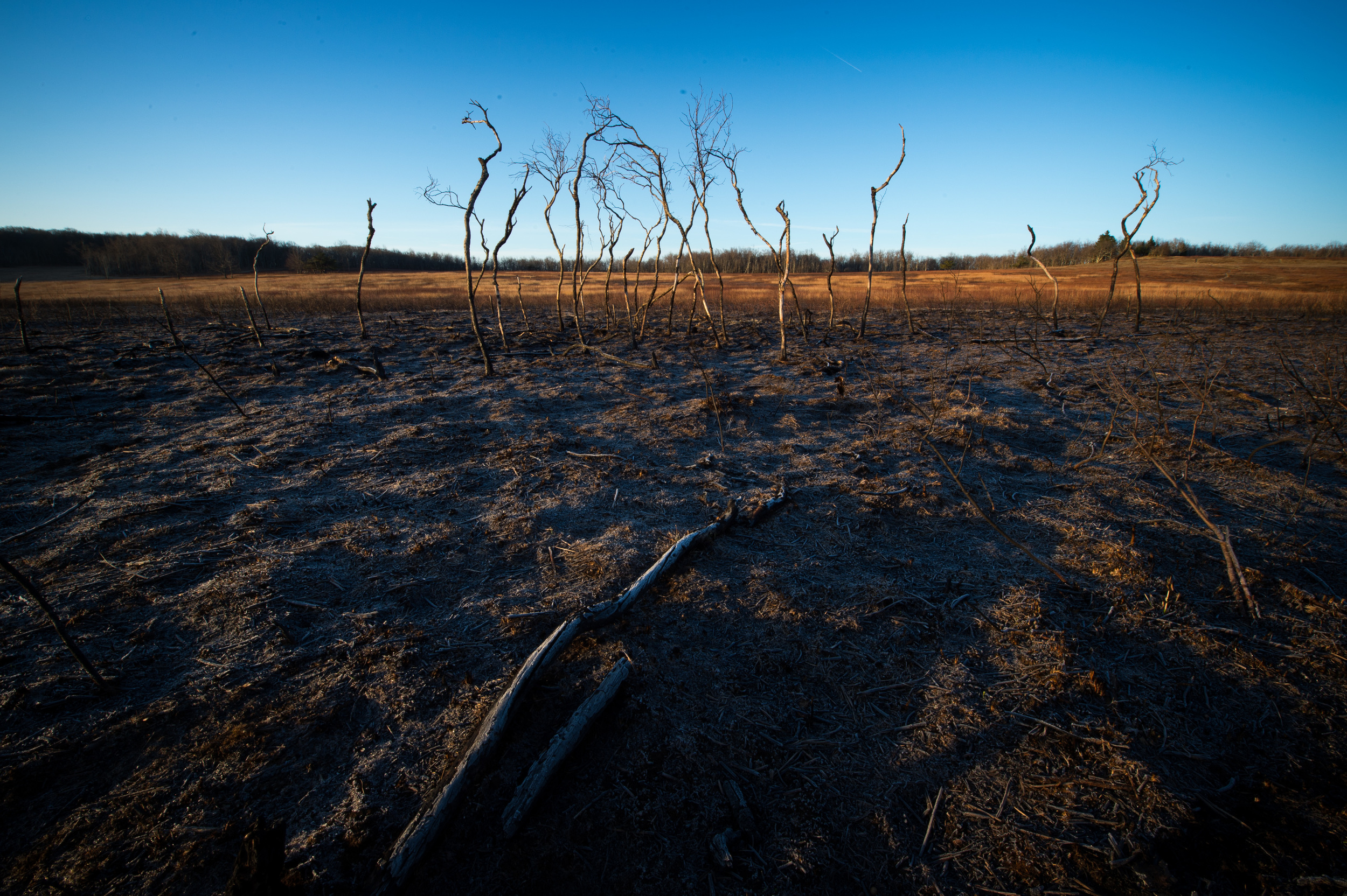 1/20 @ f20, ISO 200. Nikon D4S, 14-24mm at 14mm.