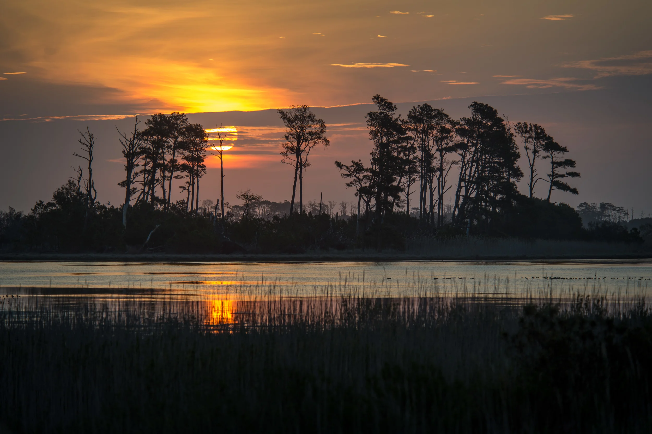 Chincoteague sunrise. 1/640 @ f5.3, ISO 200. Nikon D4S, 80-400mm at 195mm.