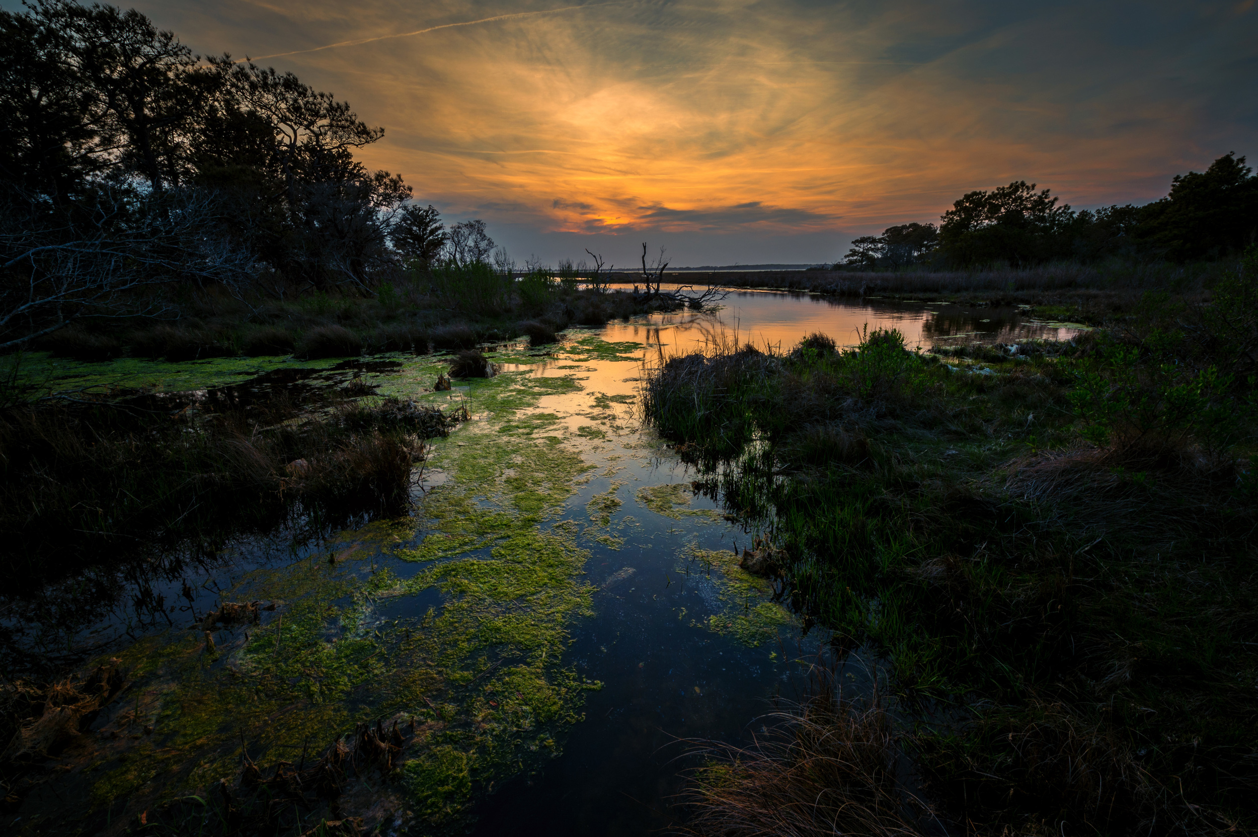Assateague sunset. 1/10 @ f20, ISO 200. Nikon D4S, 14-24mm at 14mm.