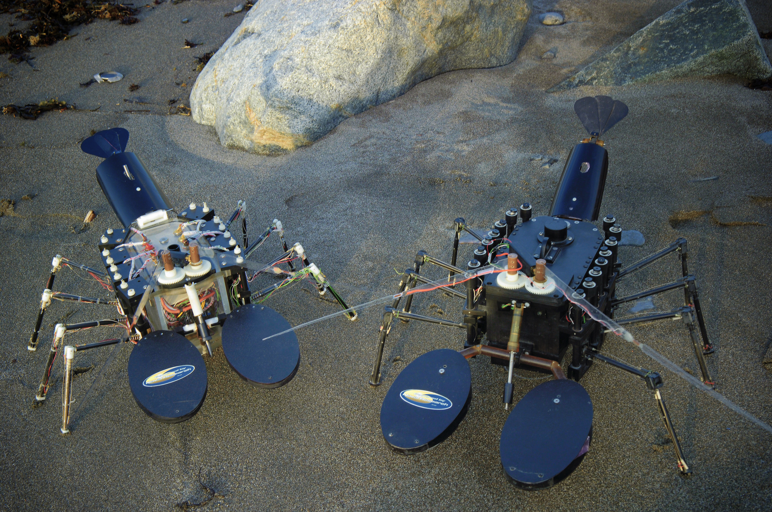   NAHANT, Mass. &nbsp;- The biomimetic underwater robot, Robolobster, at Northeastern University's Marine Science Center. Biomimetic robots take advantage of capabilities proven in animals for dealing with real-world environments. 