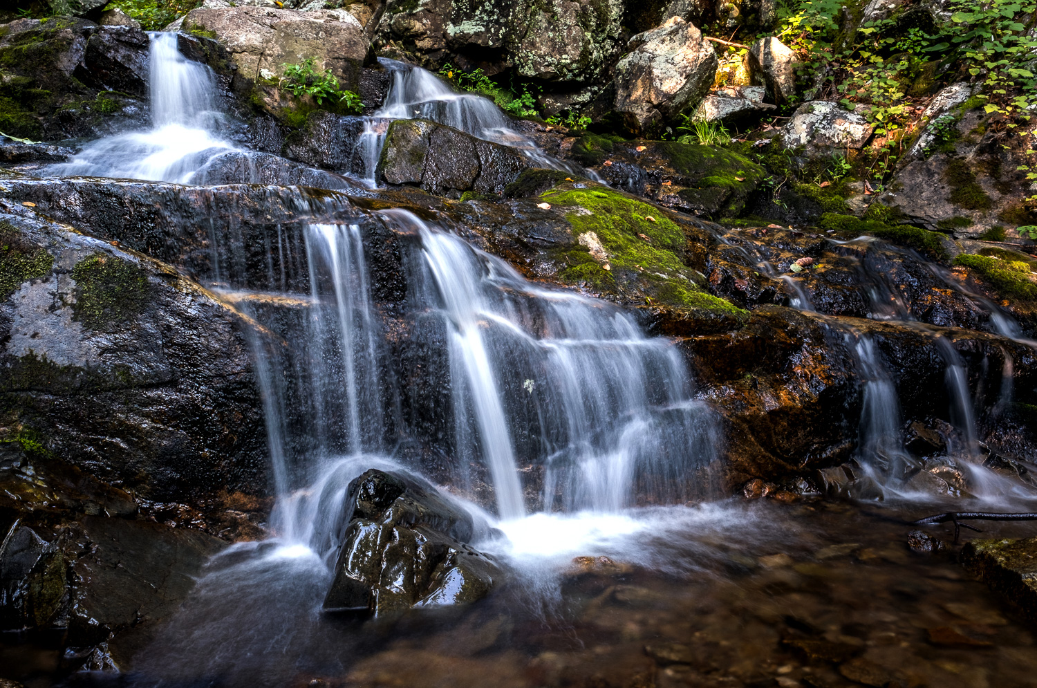 A tripod of some sorts is a must if you wish to convey movement in the water. One of the advantages of tree cover and shadows is that you can normally achieve this look without adding neutral density filters to your camera. Fallingwater Cascades is a 1.7 loop hike located in the Jefferson National Forest off of the Blue Ridge Parkway. Fuji x-Pro2 with 16MM. 1/1.7 @ f16, ISO 200, -0.3 exposure compensation.