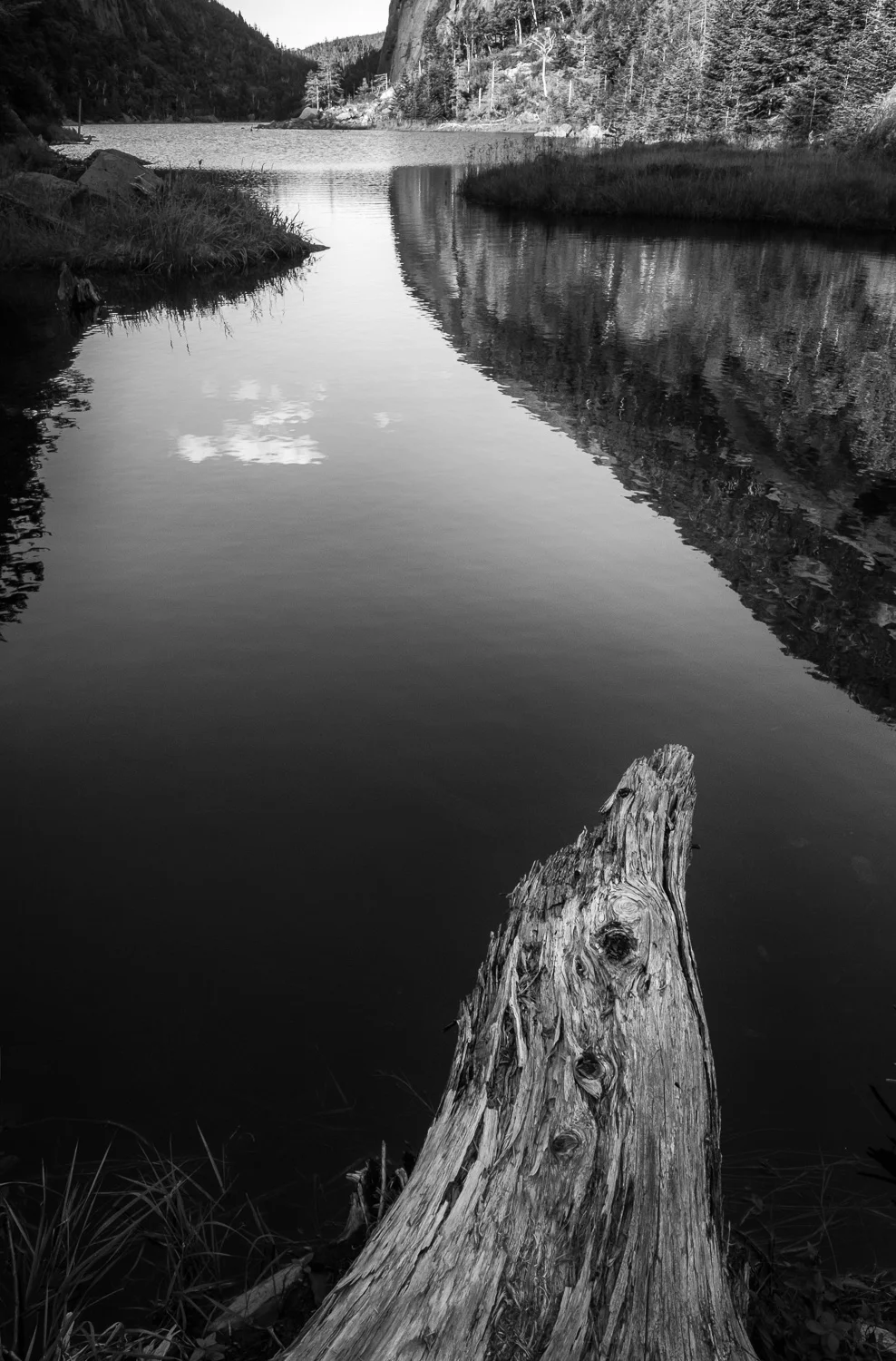 At this end of the lake, there is plenty of debris, mostly logs, that has built up and makes for some interesting foregrounds. In this case, I switched to a vertical and used this large branch to lead you into the photograph. Converting to monochrome emphasizes the contrast between the warm wood and the cool lake. Fujifilm X-Pro2 with a 16mm lens, 1/60 @ f16, ISO 800, Exp. Comp. -0.3.