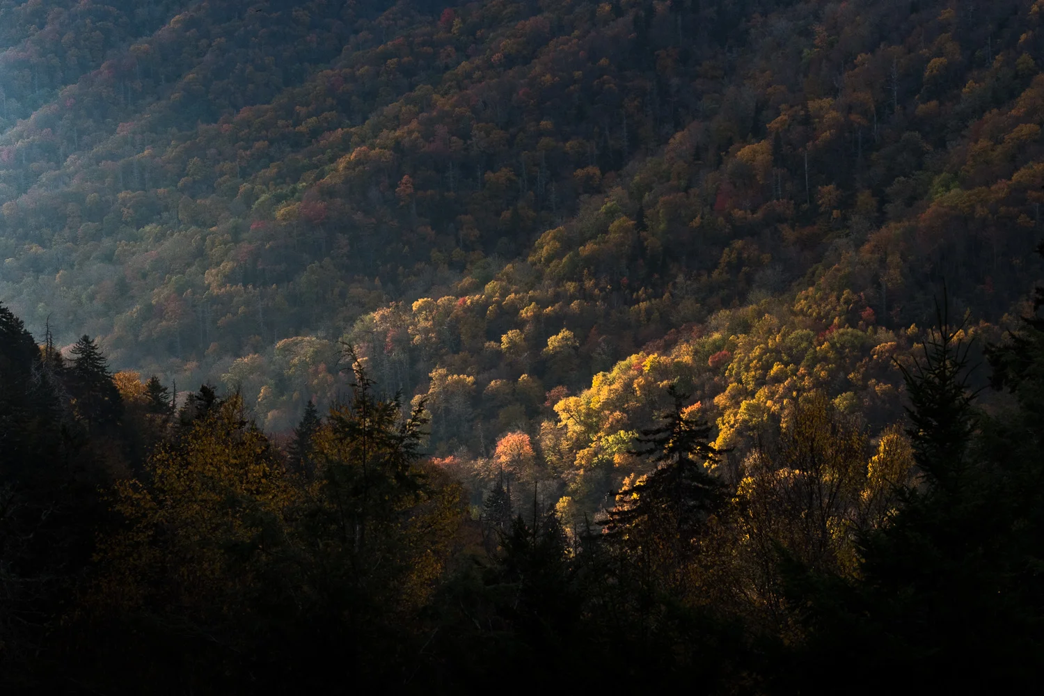 Great Smoky Mountains National Park