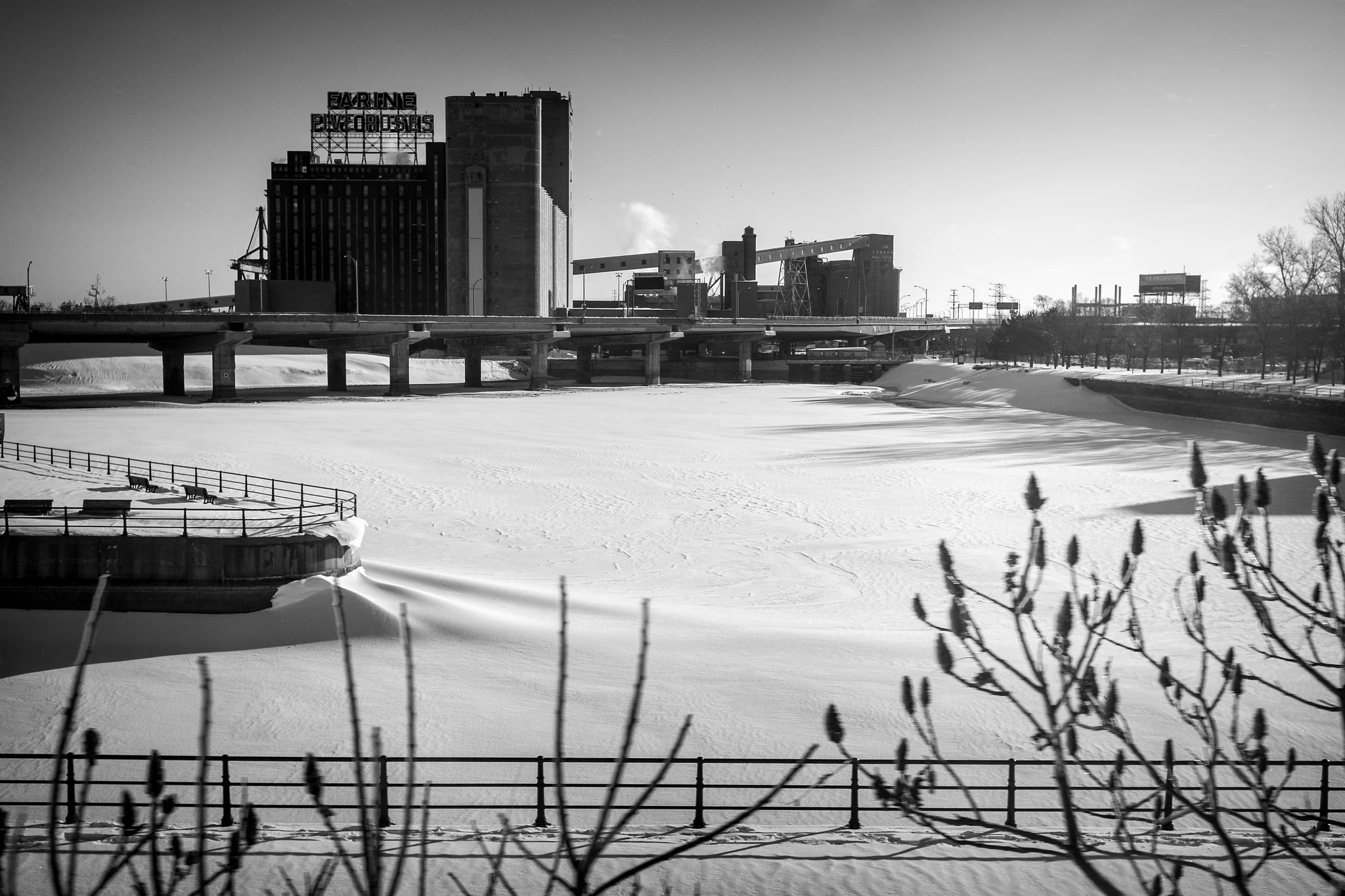 Notice how the foreground is a blurred. I still think it adds some interest. Fujifilm X100S, 1/500 @ f5.6, ISO 200.