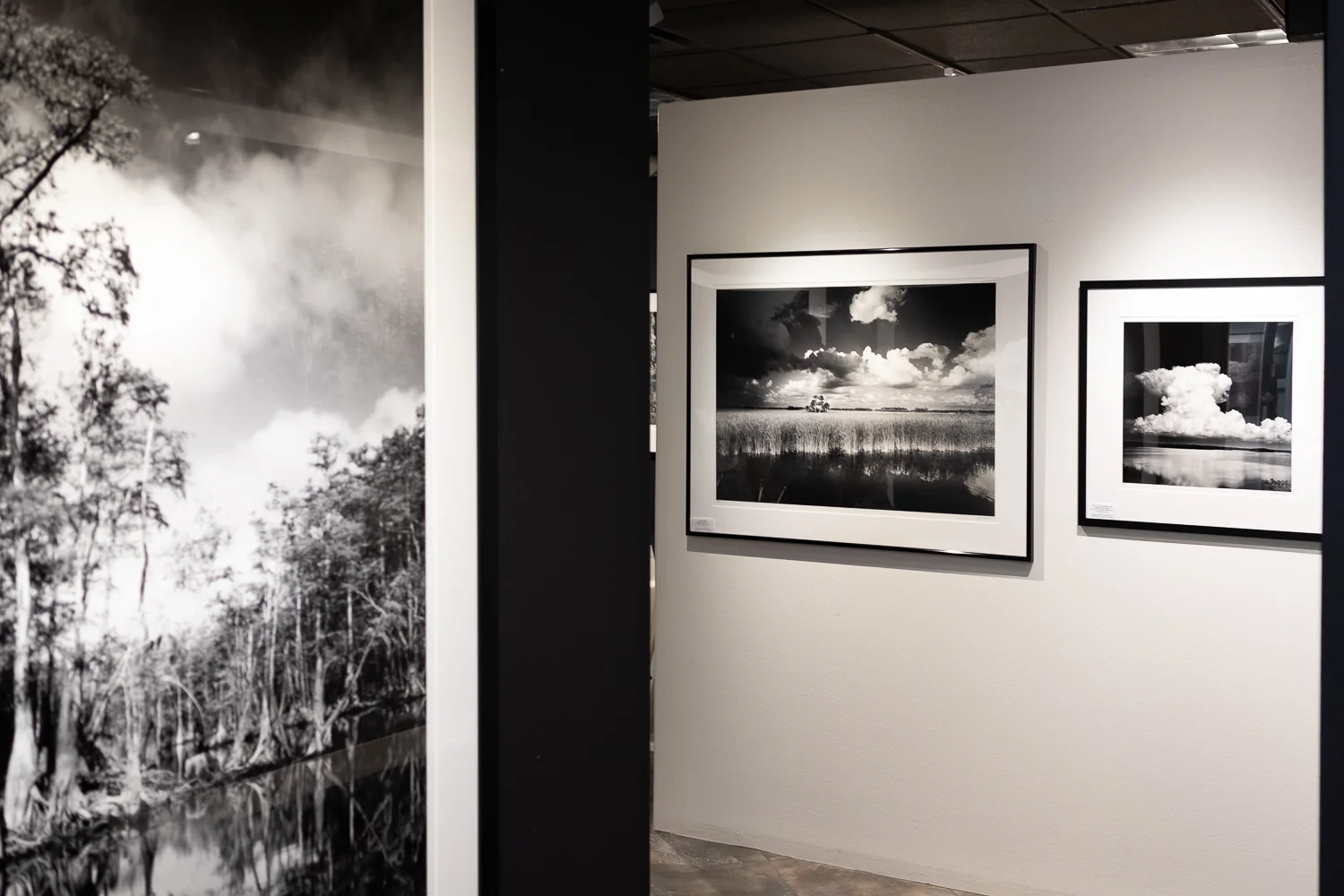 Clyde’s Venice Gallery and Studio is open Tuesday - Friday, 10 am to 4:30 pm . His black and white photography of the Florida landscape is inspiring me to get out and explore my new home state.