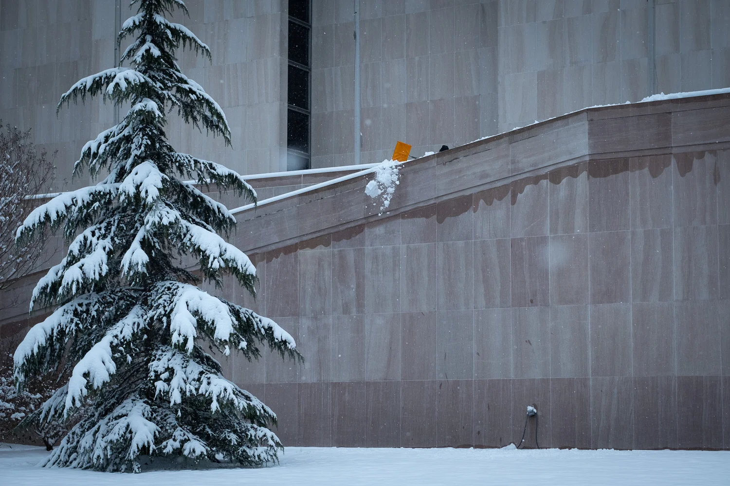 The movement caught my eye, then when I realized what was happening I knew I had my first real photo of the day. For me, the yellow snow shovel makes this image. Fujifilm X-Pro2, 50mm, 1/1500 @ f4, ISO 400.