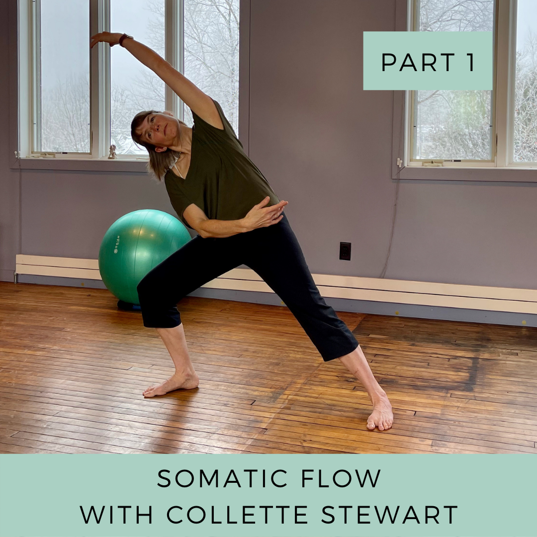 about - pilates on harrison, instructors - pilates on harrison ...