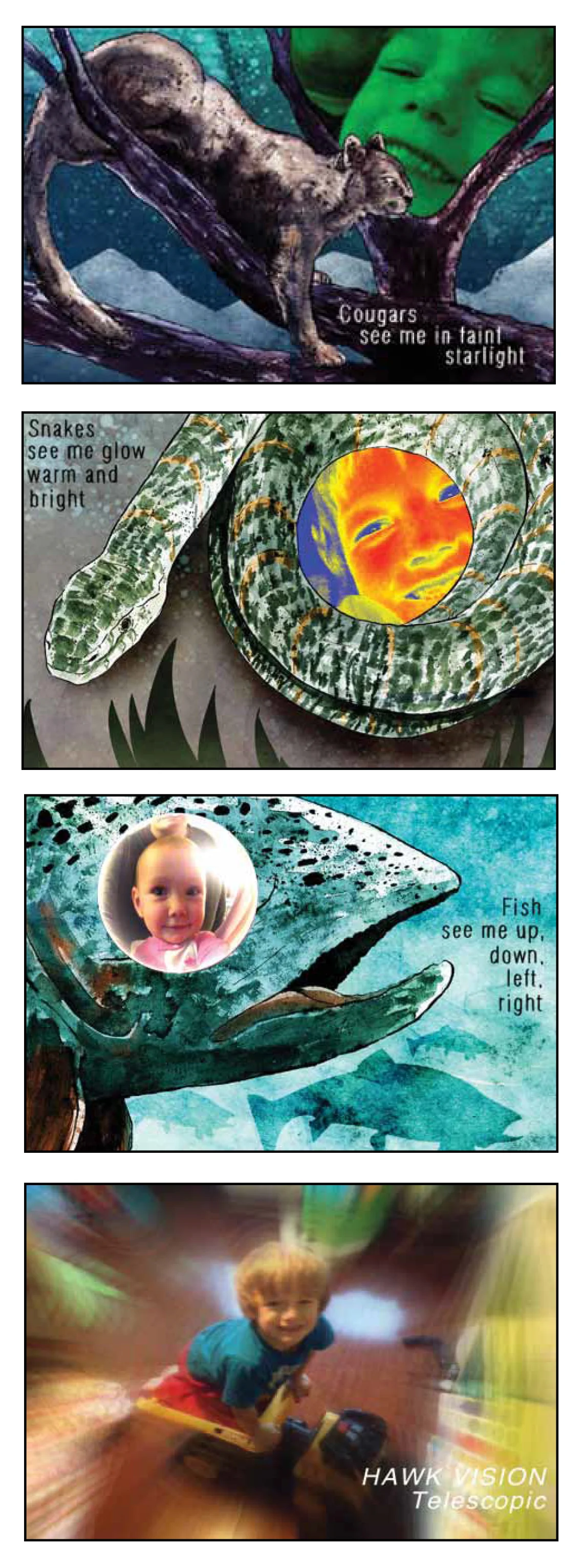 How Animals See Me - app content
