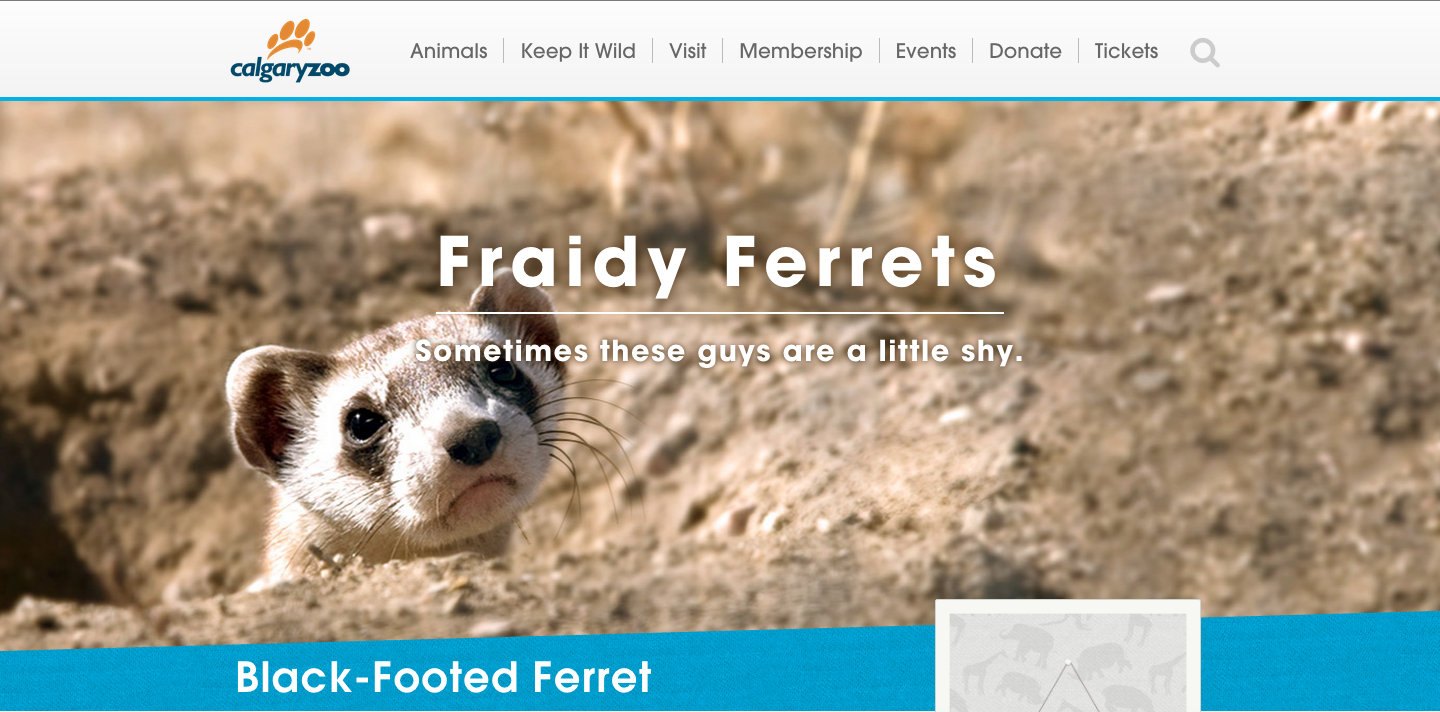 Calgary Zoo - website marquee copy