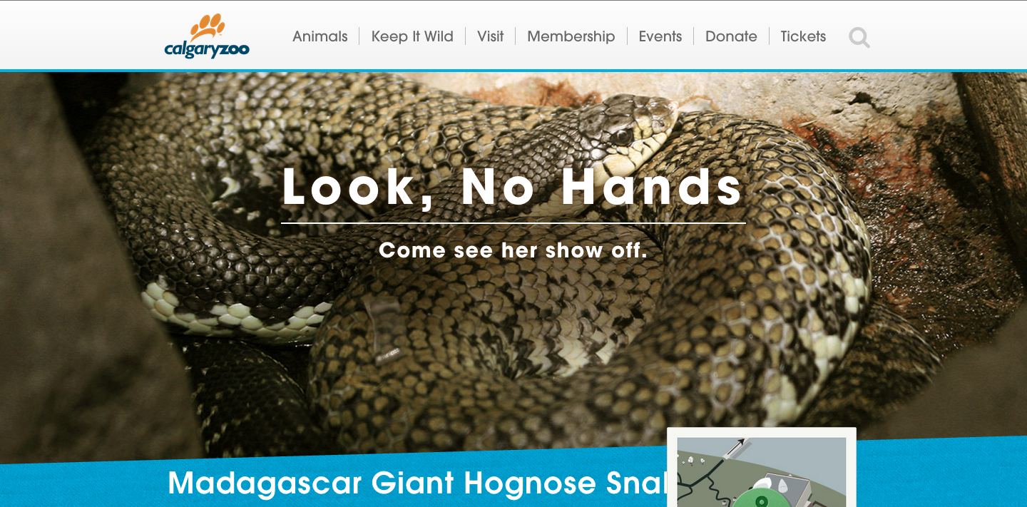 Calgary Zoo - website marquee copy