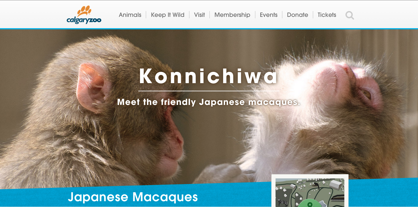Calgary Zoo - website marquee copy