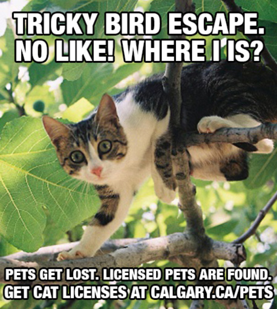 Screen Shot 2022-01-12 at 1.37.24 PM.png