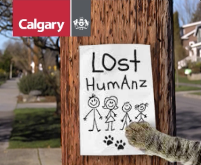 Screen Shot 2022-01-12 at 1.41.23 PM.png