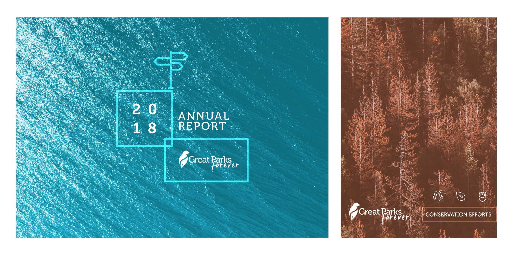 Annual Report and Brochure cover style. They were able to take the design elements and applied it on their collateral. 