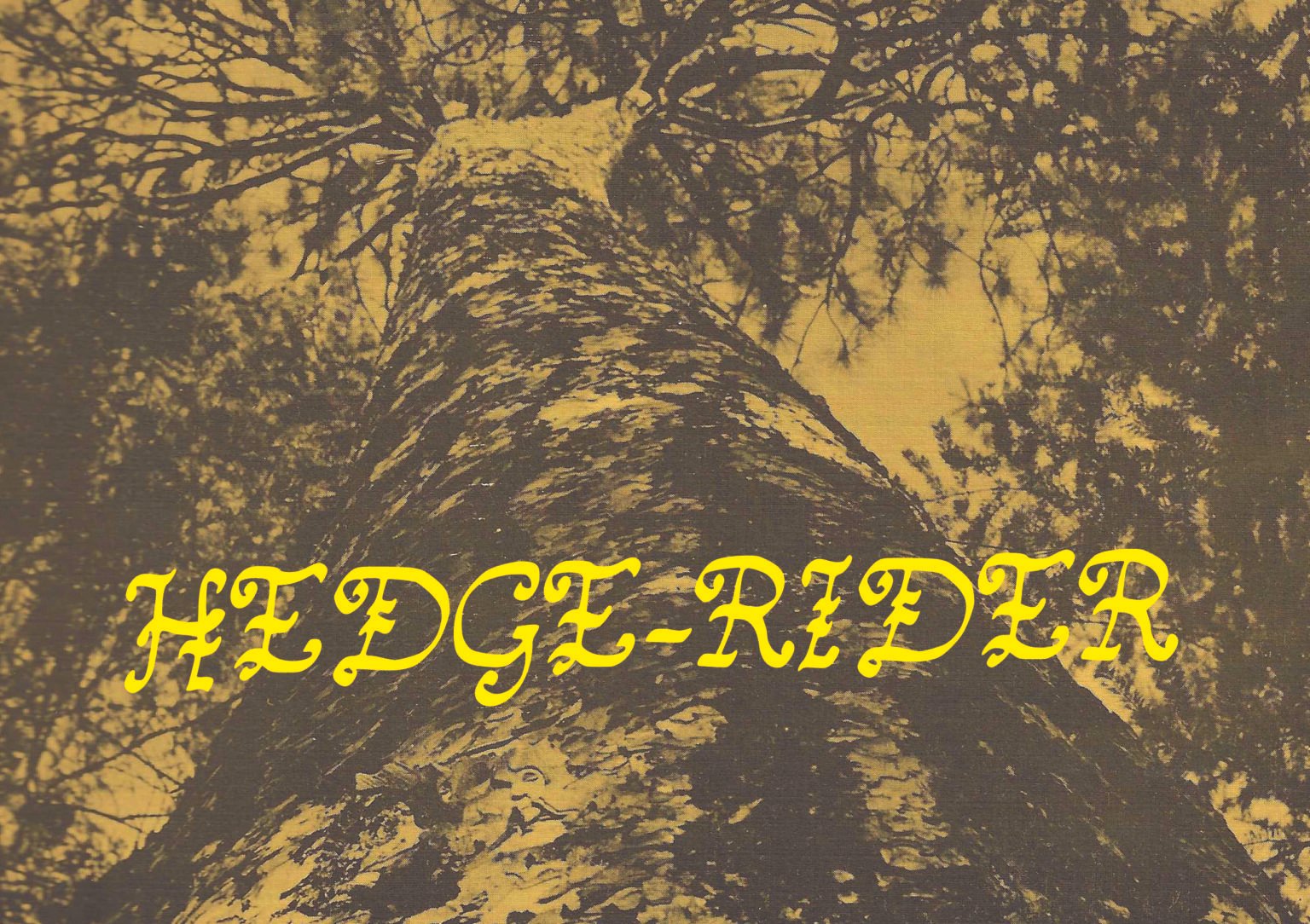 A close-up view of a tall tree trunk taken from the ground looking up at the branches and leaves, with the words "HEDGE-RIDER" in bold yellow, cursive text across the bottom.