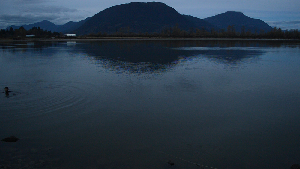 Matsqui, Fraser River | video still | 2015