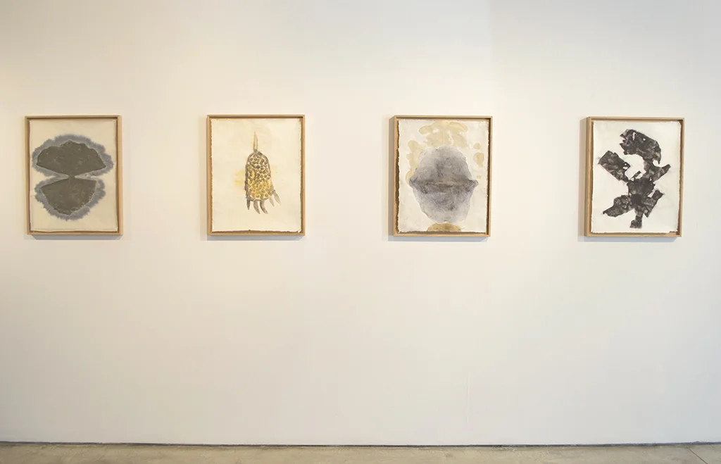 Installation view | Charles H. Scott Gallery | 2016