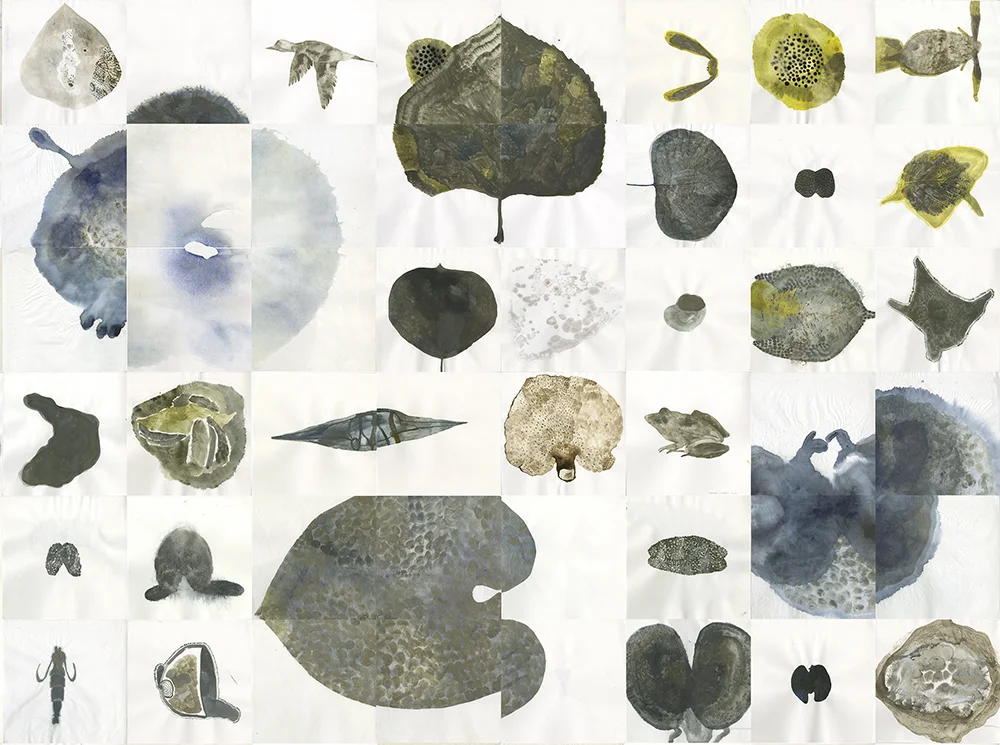 Study of a Lost Shoreline (Detail) | Handmade silt-based watercolour and ink on paper | 2017